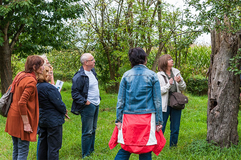 Besucher auf einer Obstwiese