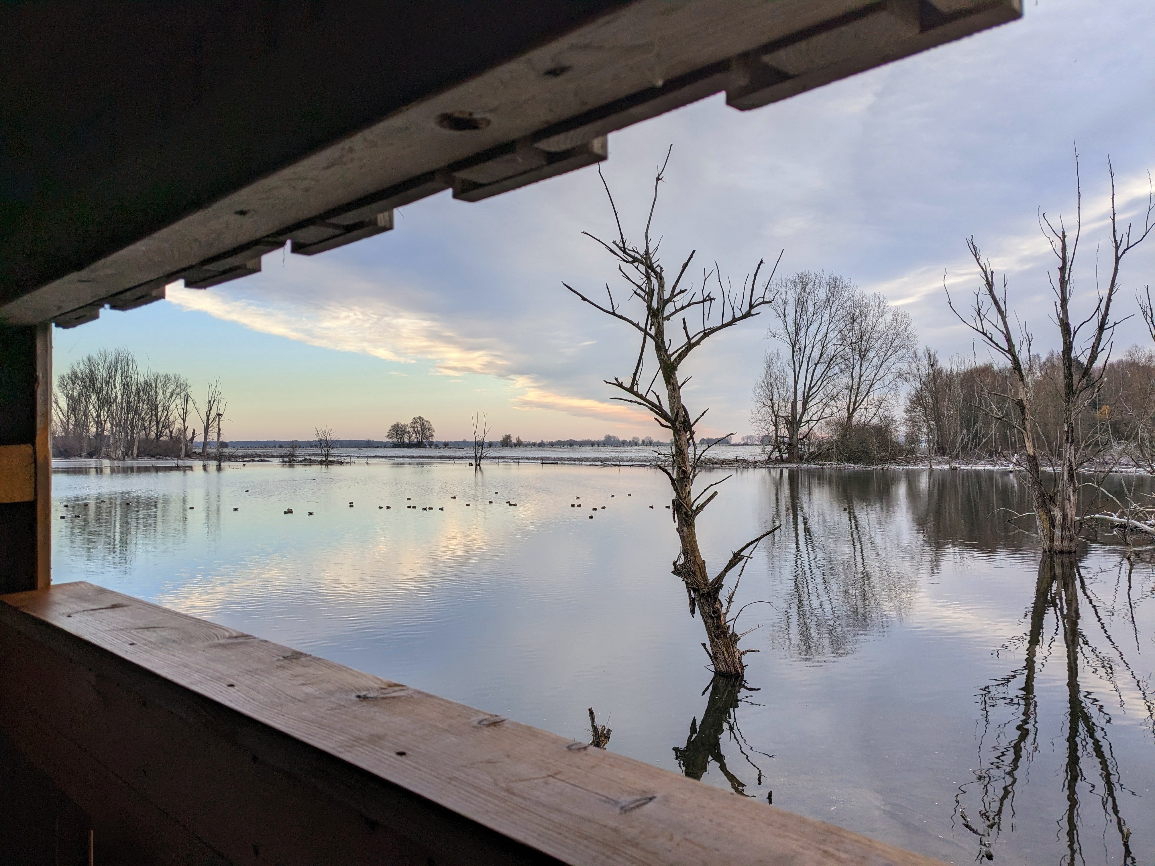 Ausblick aus der Beobachtungshütte im Winter