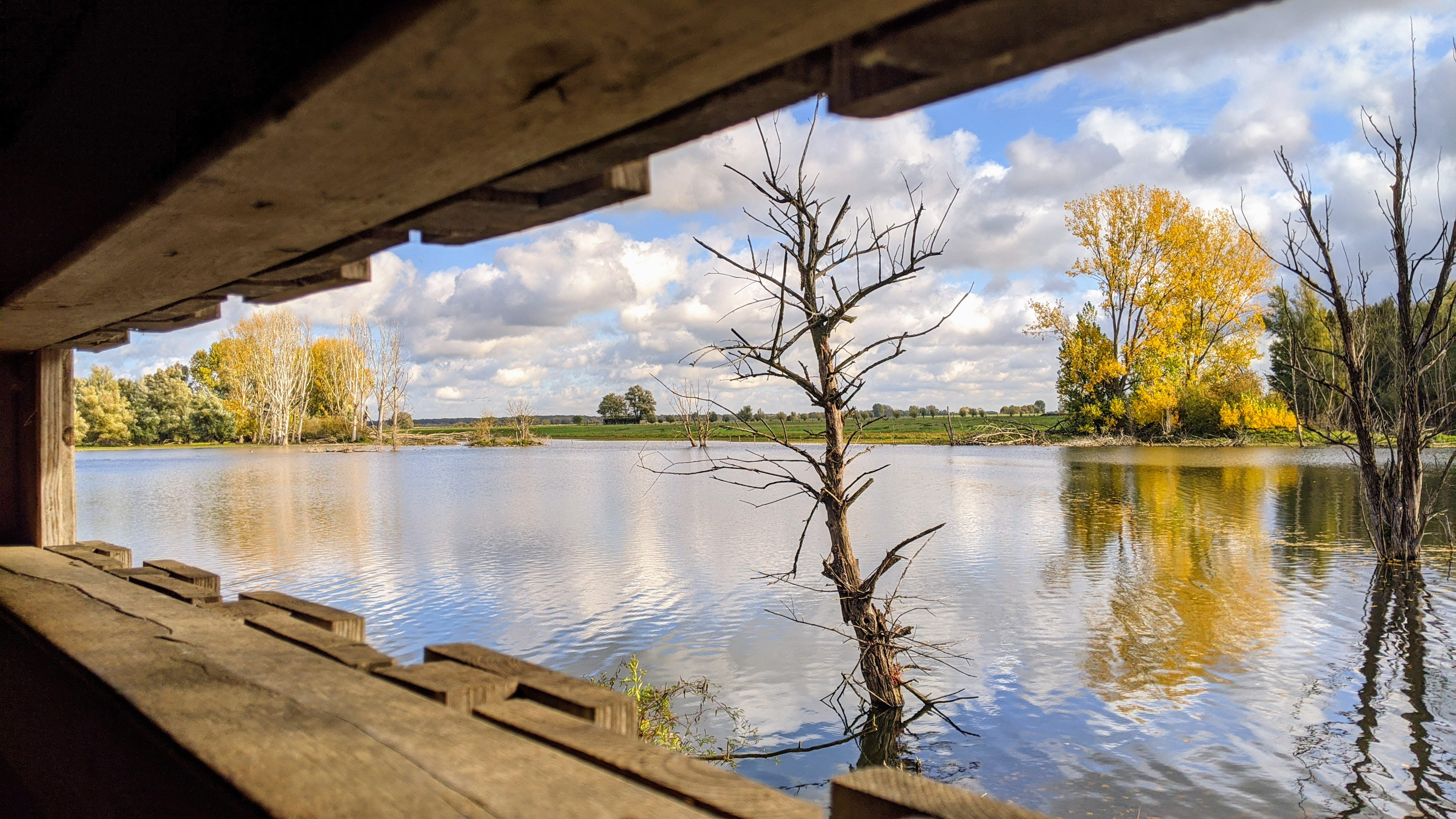 Ausblick aus der Beobachtungshütte 