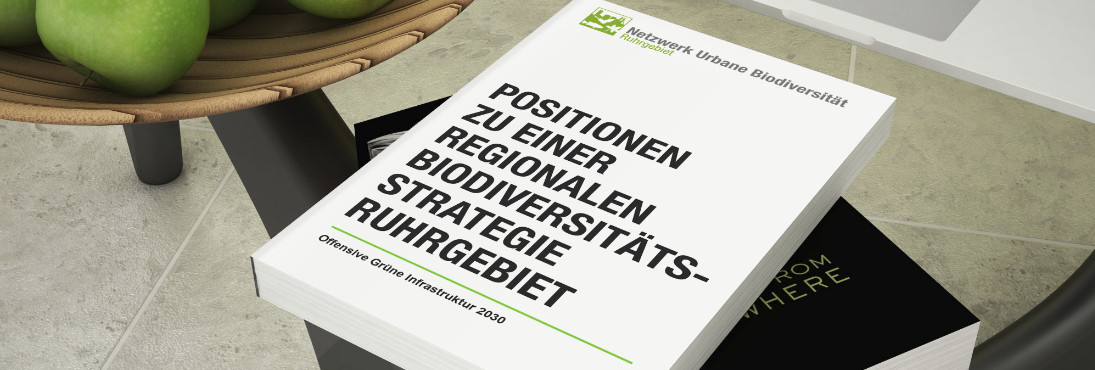 Zu sehen ist das Cover des Abschlussberichtes
