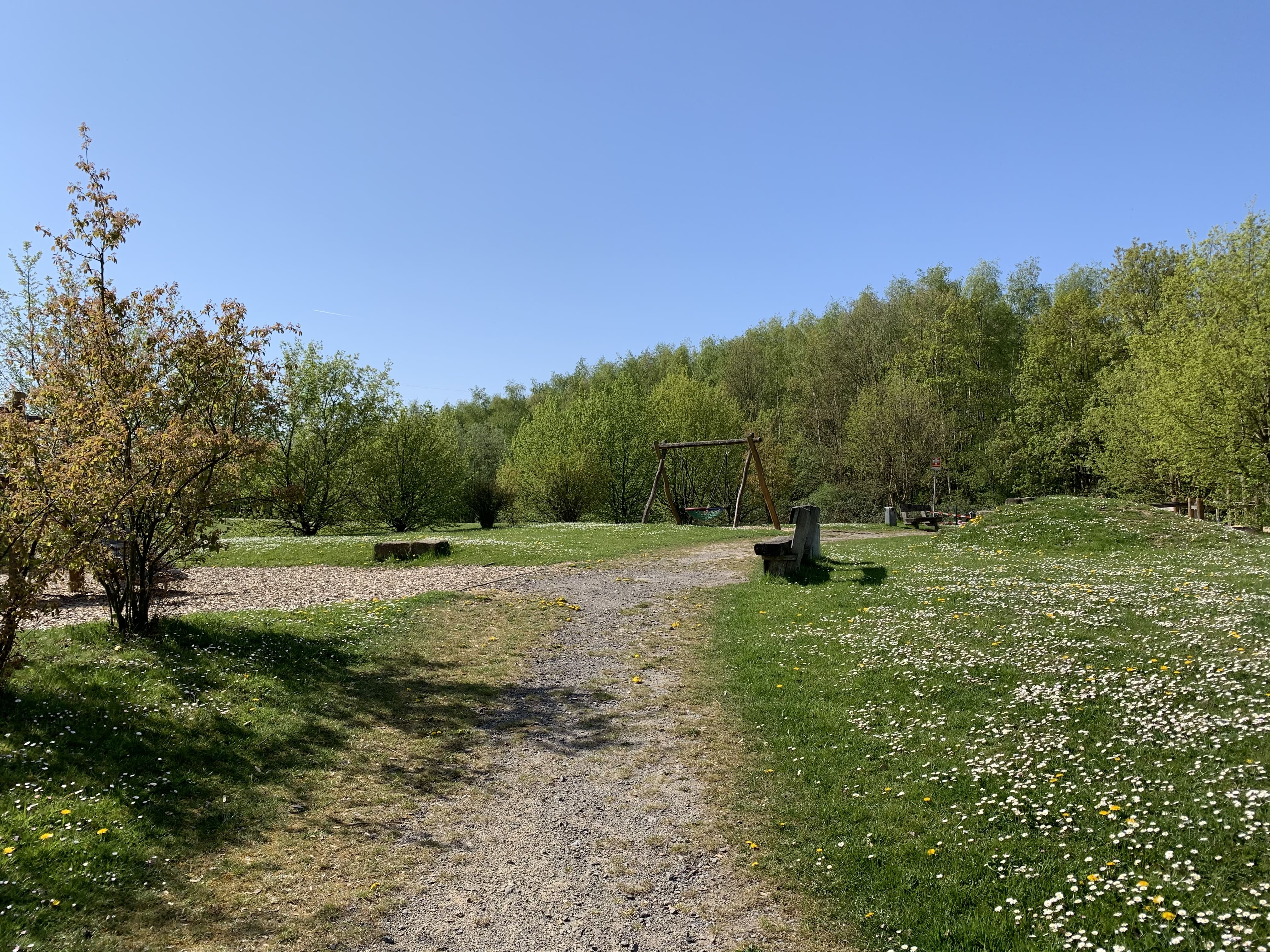 Blick auf ein Parkgelände im Frühling