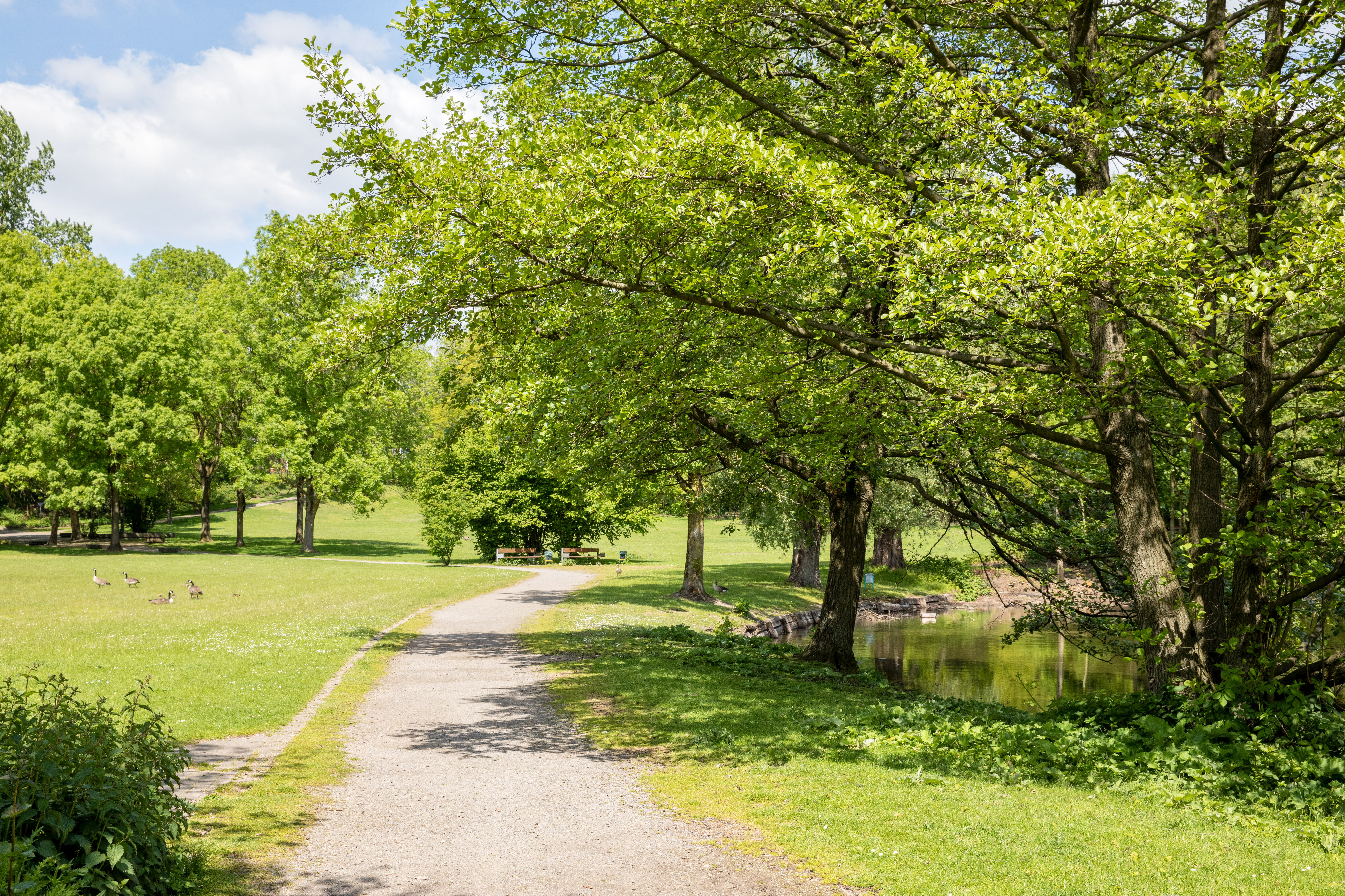 Blick einen See und Weg im Revierpark Vonderort