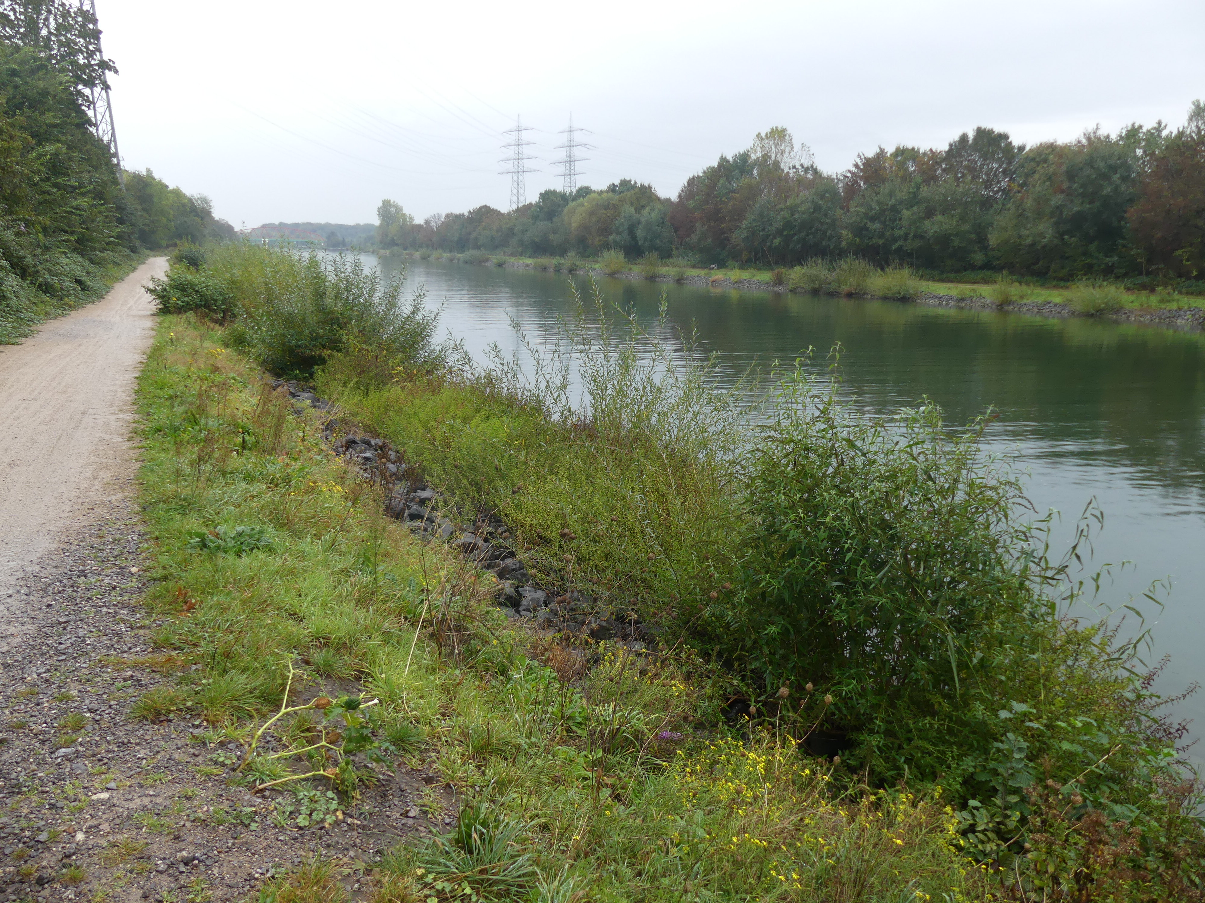 Blick auf das Ufer des Rhein-Herne-Kanals in Gelsenkirchen