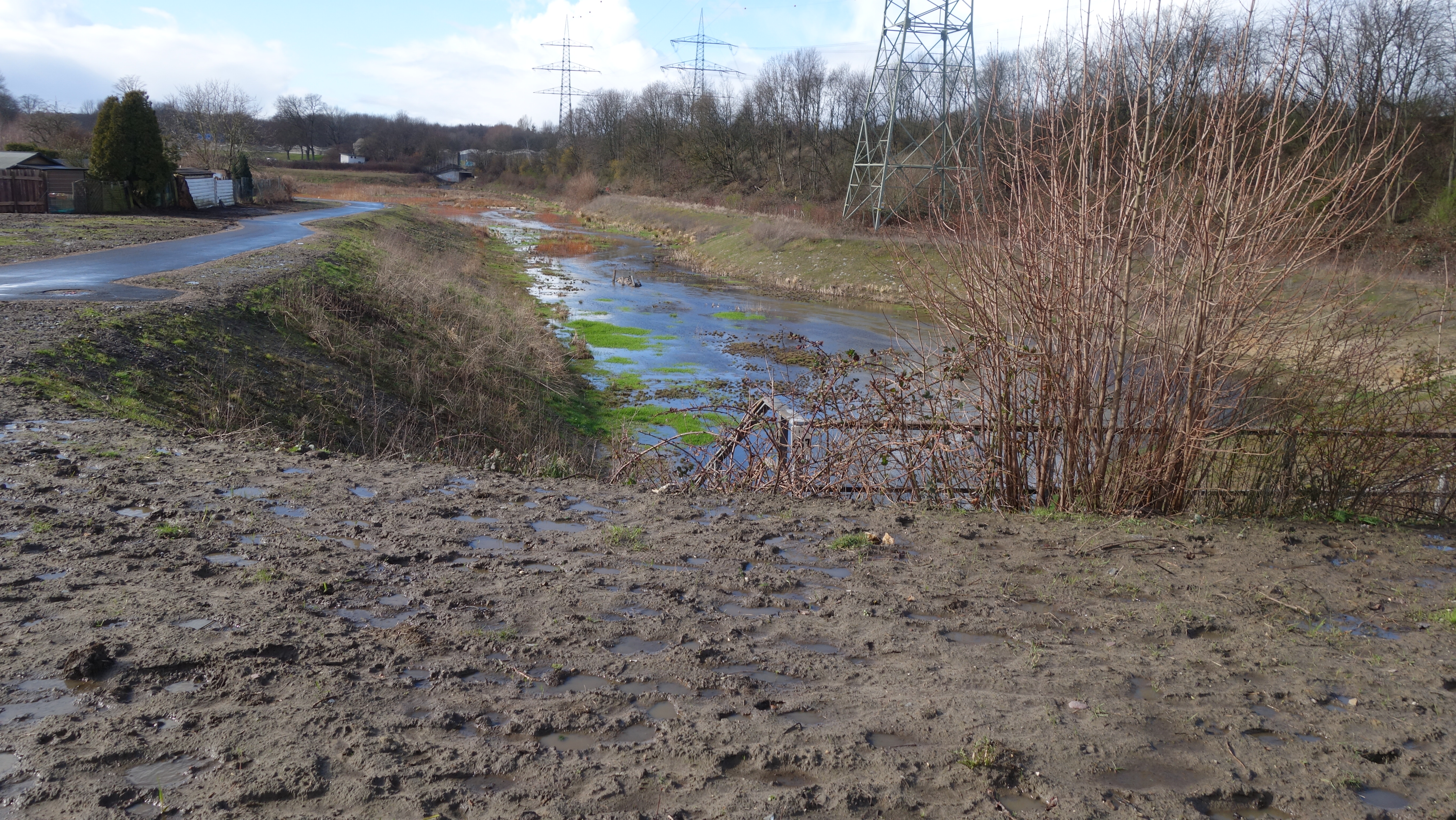 Blick auf einen renaturierten Bachlauf in Bottrop