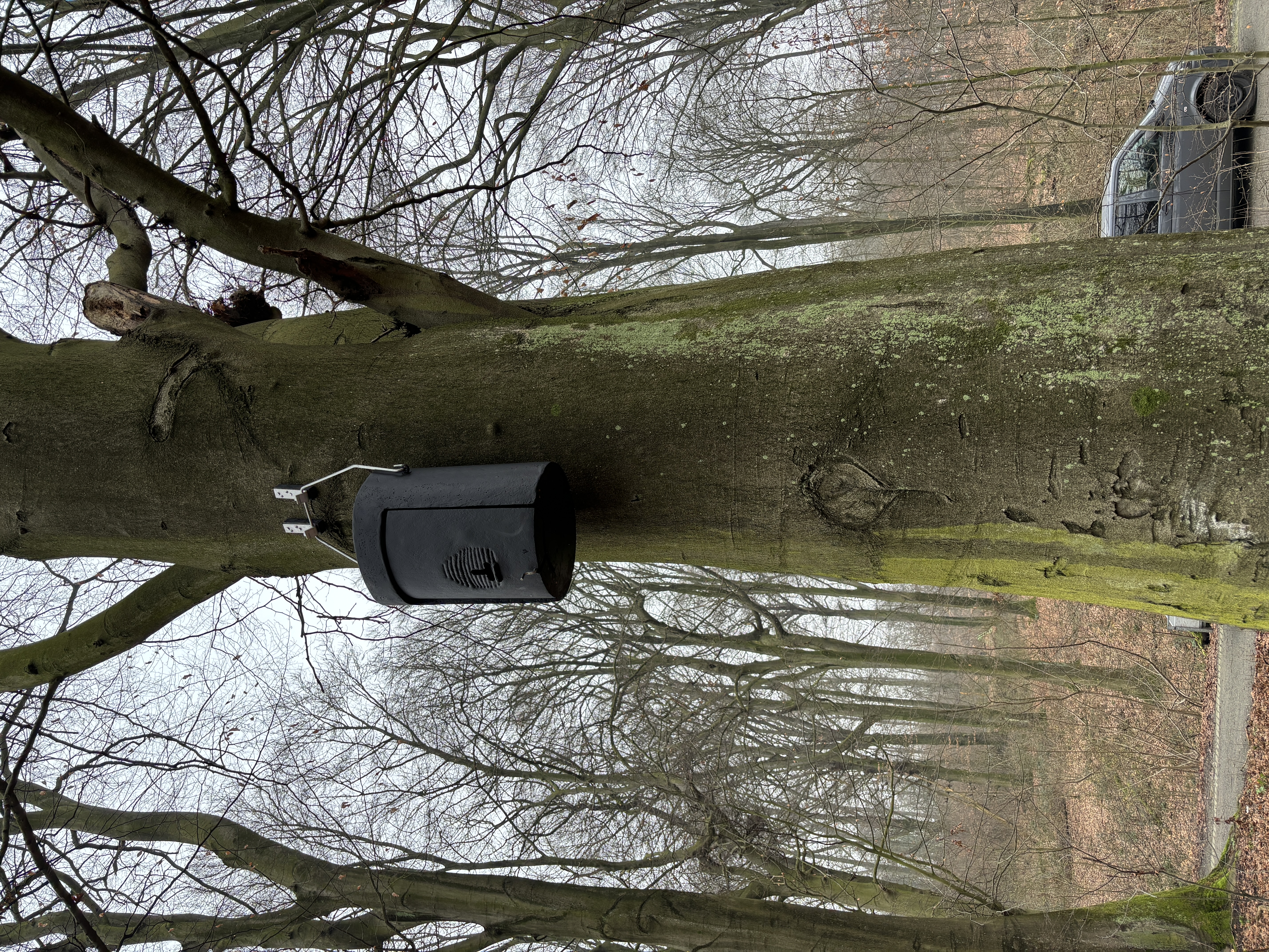 Neue Quartiere für Fledermäuse Hängender Fledermauskasten an einem Baum