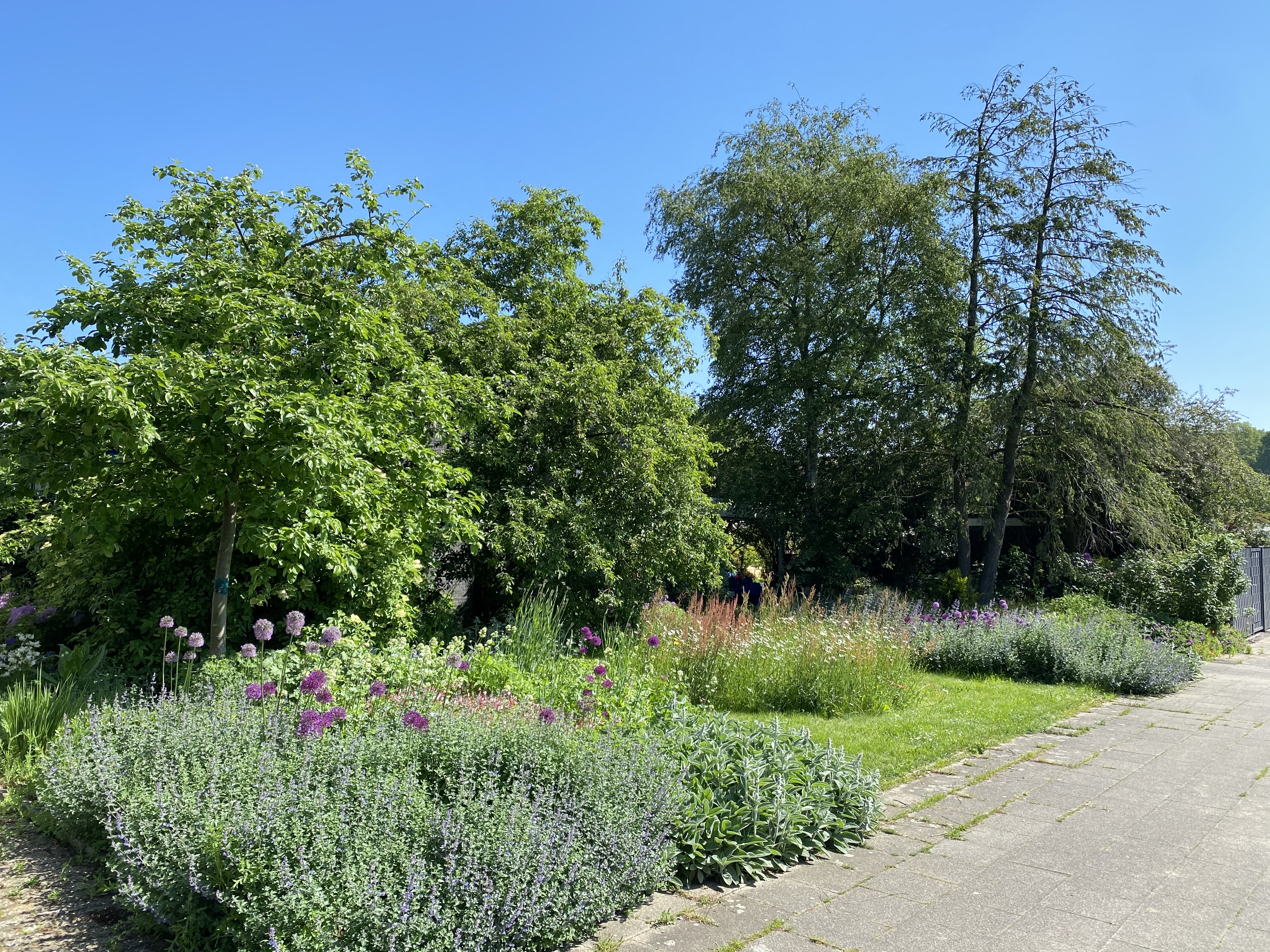 Grüner und biodiverser Vorgarten