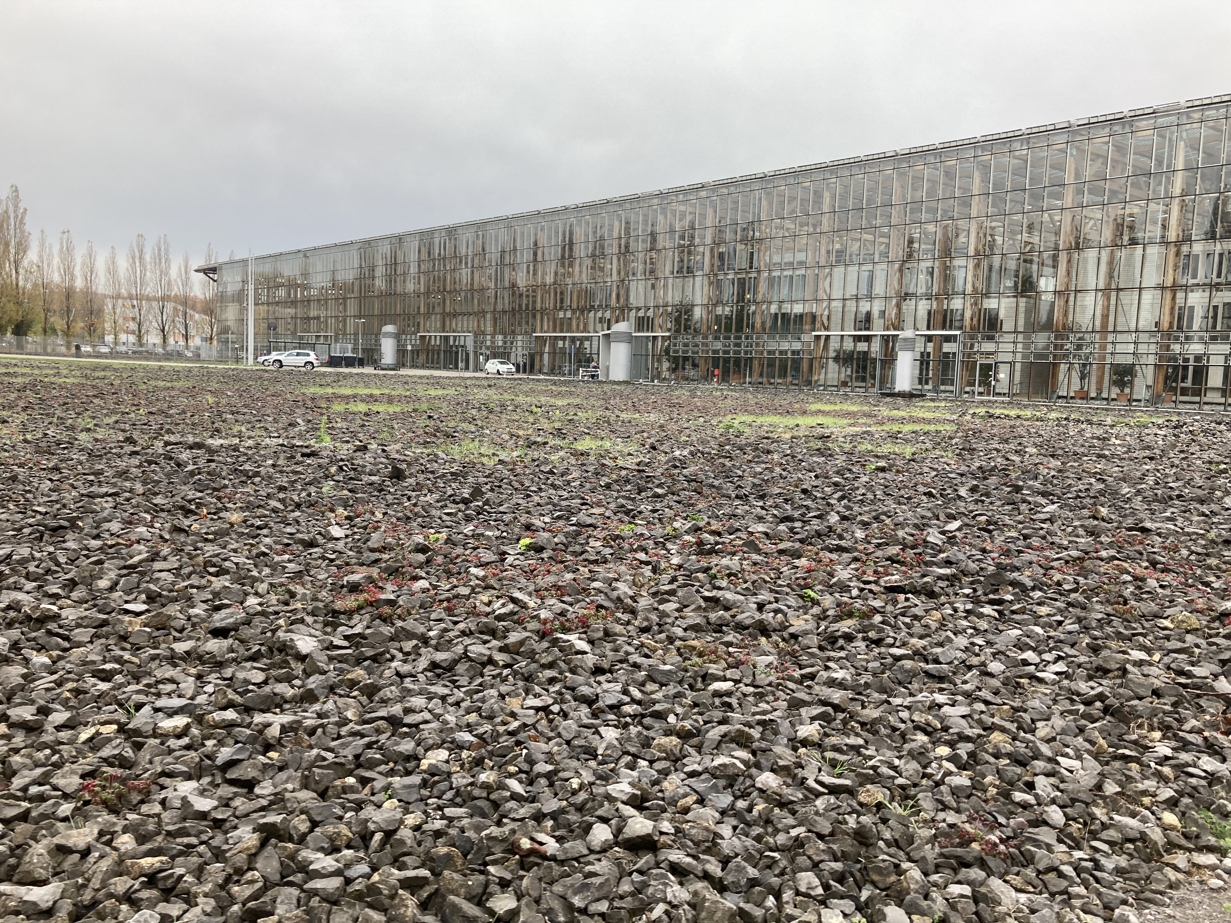 Schotterfläche vor der Akademie Mont-Cenis in Herne