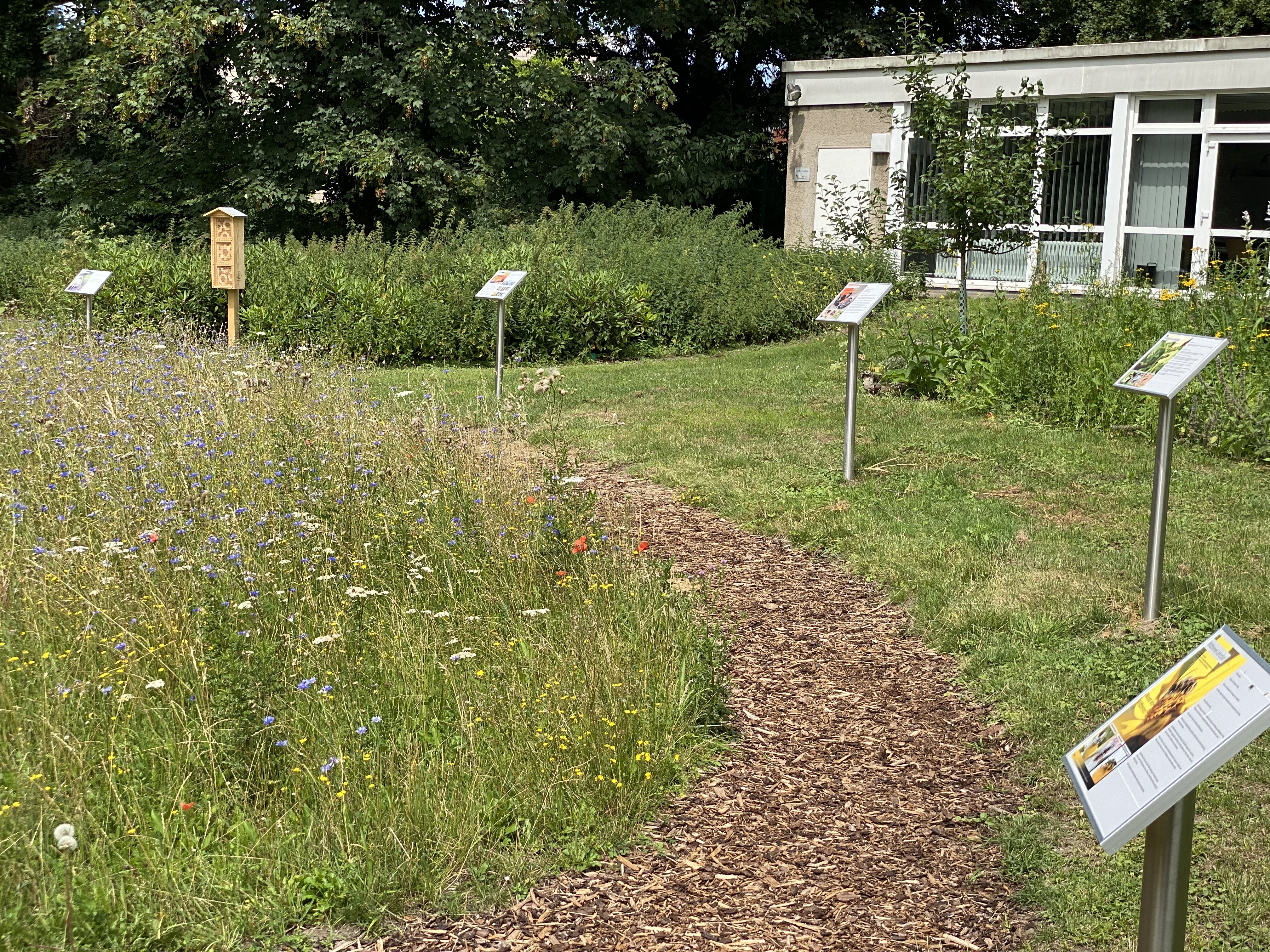 Blick auf die Beschilderung am Wildbienenlehrpfad in Herten