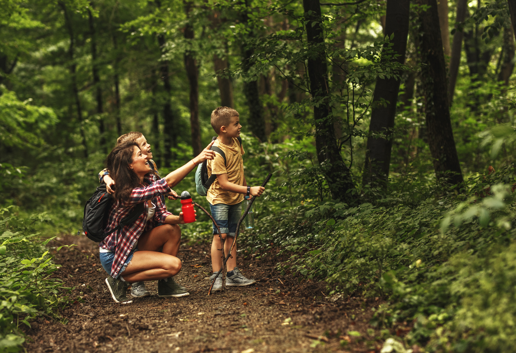 Kinder auf einer Exkursion im Wald