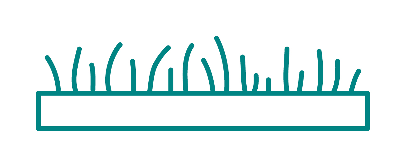 Icon Dachbegrünung.