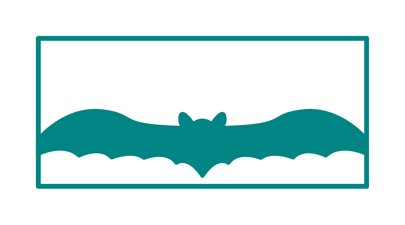 Icon Fledermaus.