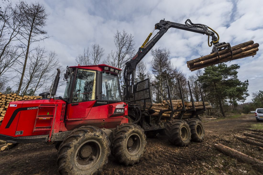 Ein Rückezug bei der Holzverladung im Baerler Busch bei Schermbeck.
