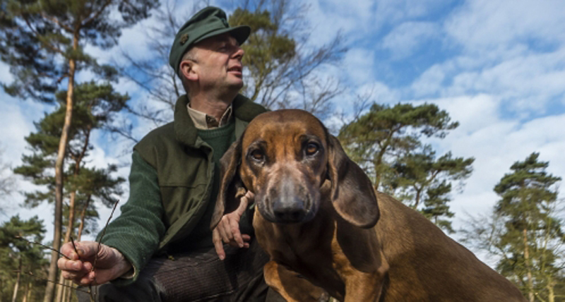 Förster Christoph Beemelmanns mit seinem Jagdhund