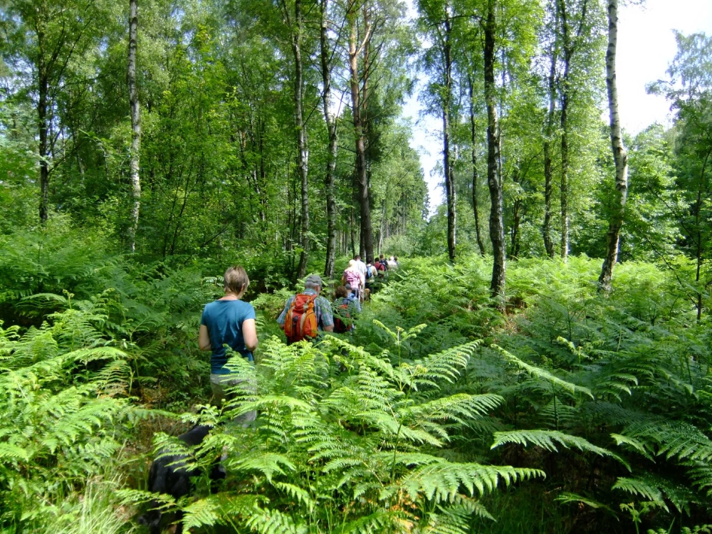 Gernebachtal in der Haard, 01.07.2012