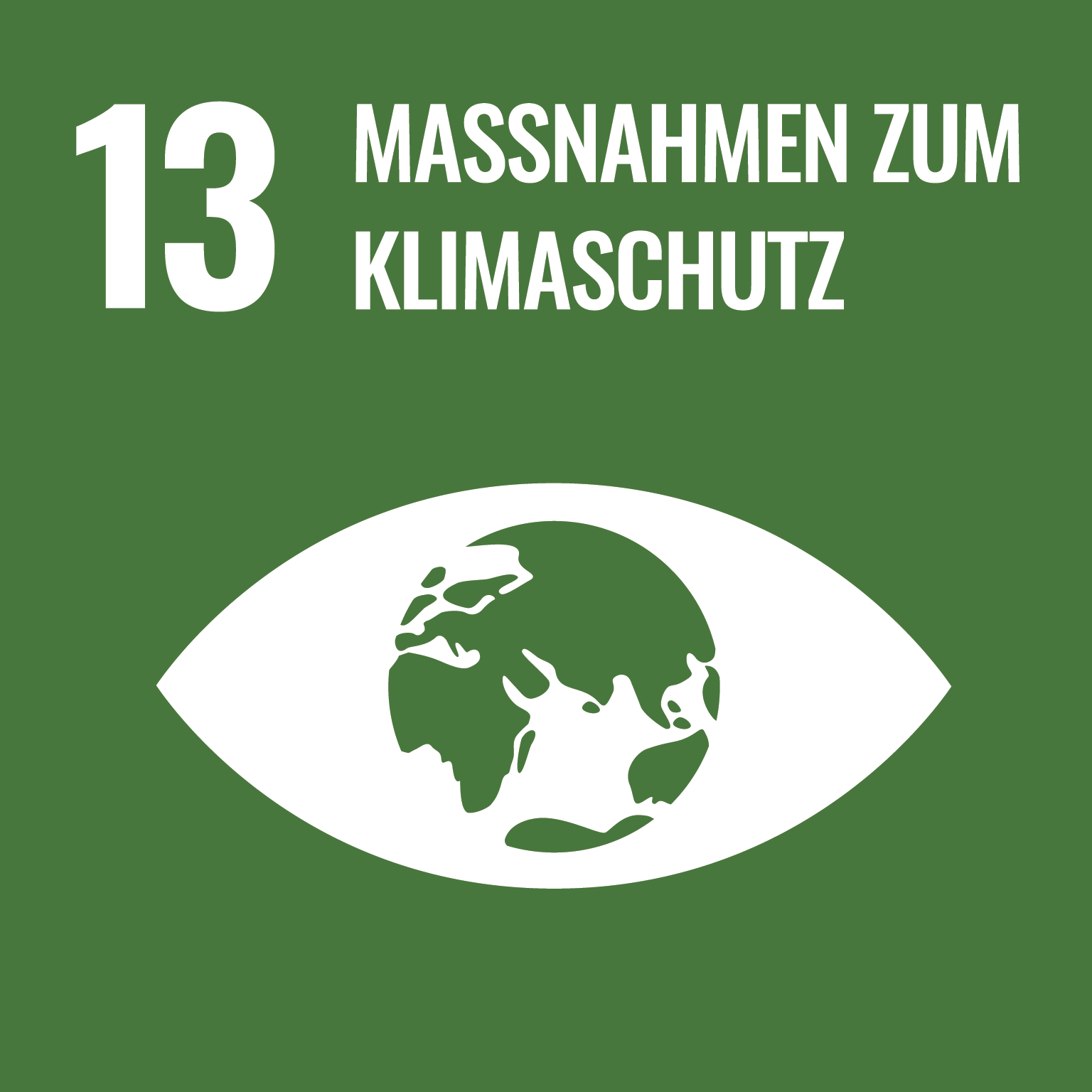 Das Icon für das Sustainable Development Goal 13 Maßnahmen zum Klimaschutz stellt die Erde als Iris in einem weißen Auge vor grünem Hintergrund dar