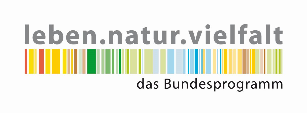 Logo Bundesprogramm leben.natur.vielfalt.