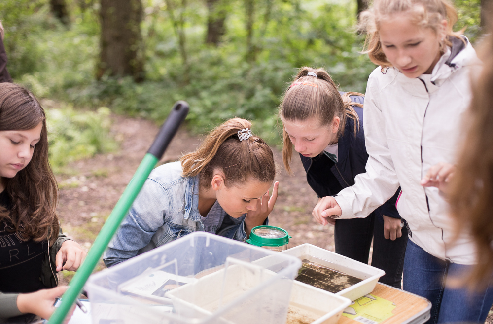Kinder schauen in Schüssel mit Bachwasser
