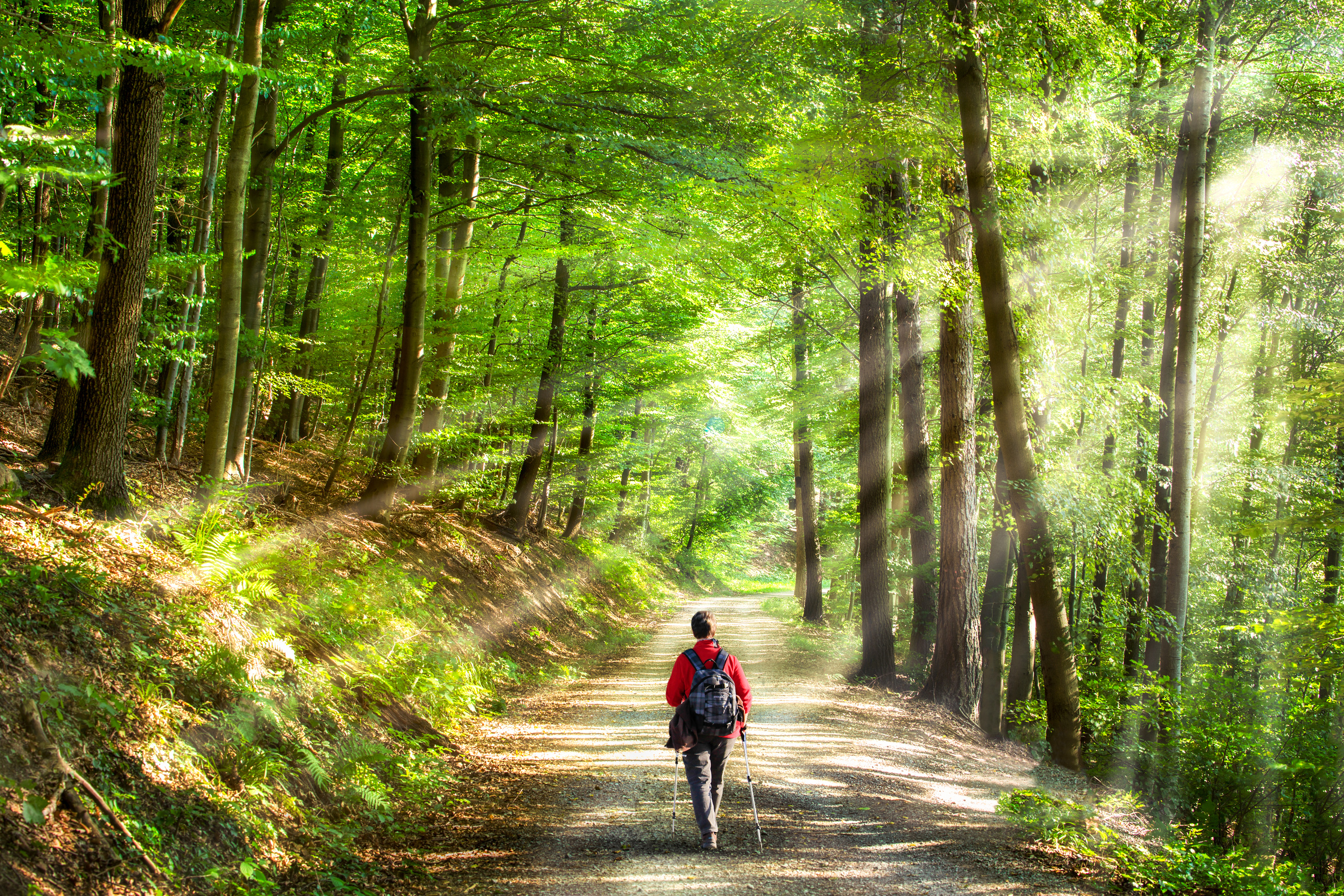 Person beim Spaziergang im Wald.
