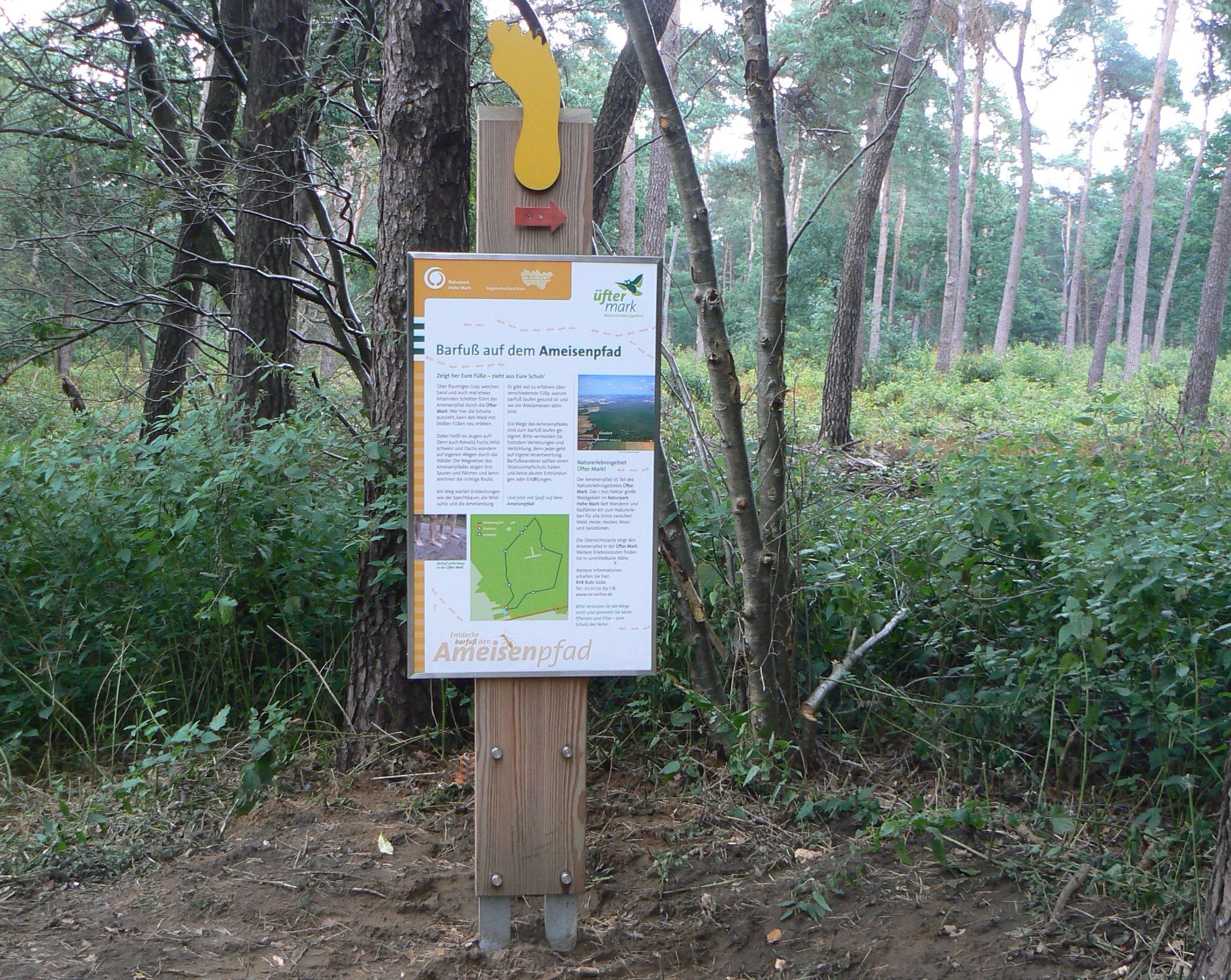 Schild zum Ameisenpfad in der Üfter Mark im RVR-Waldgebiet Schermbeck im Kreis Wesel.