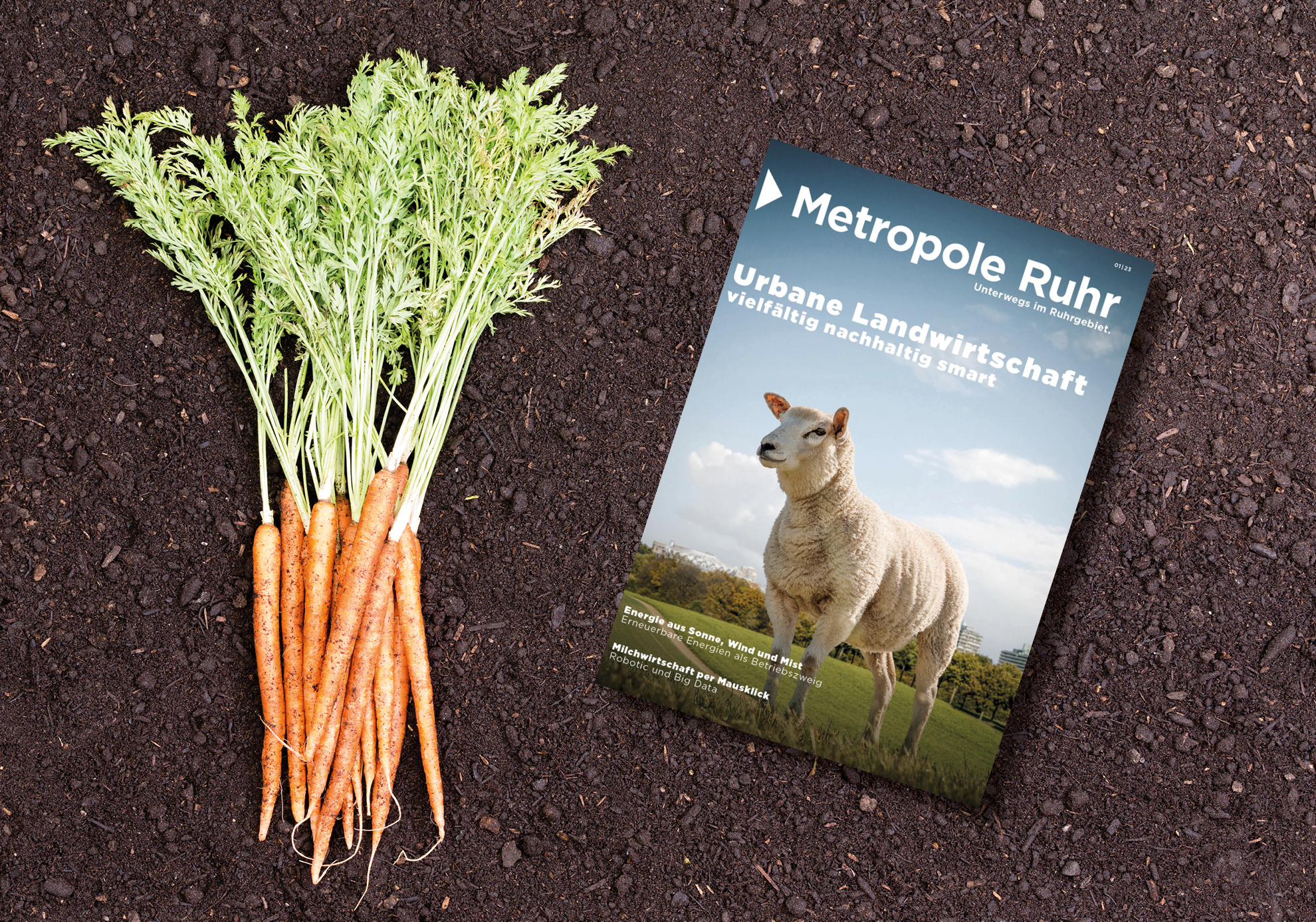 Die erste Ausgabe 2023 des Magazin "Metropole Ruhr" beschäftigt sich mit dem Thema "Urbane Landwirtschaft".