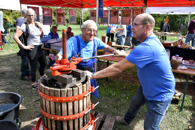 Frisch gepresster Apfelsaft ist nur eines der Highlights des Obstwiesenfestes am NaturForum Bislicher Insel in Xanten. 