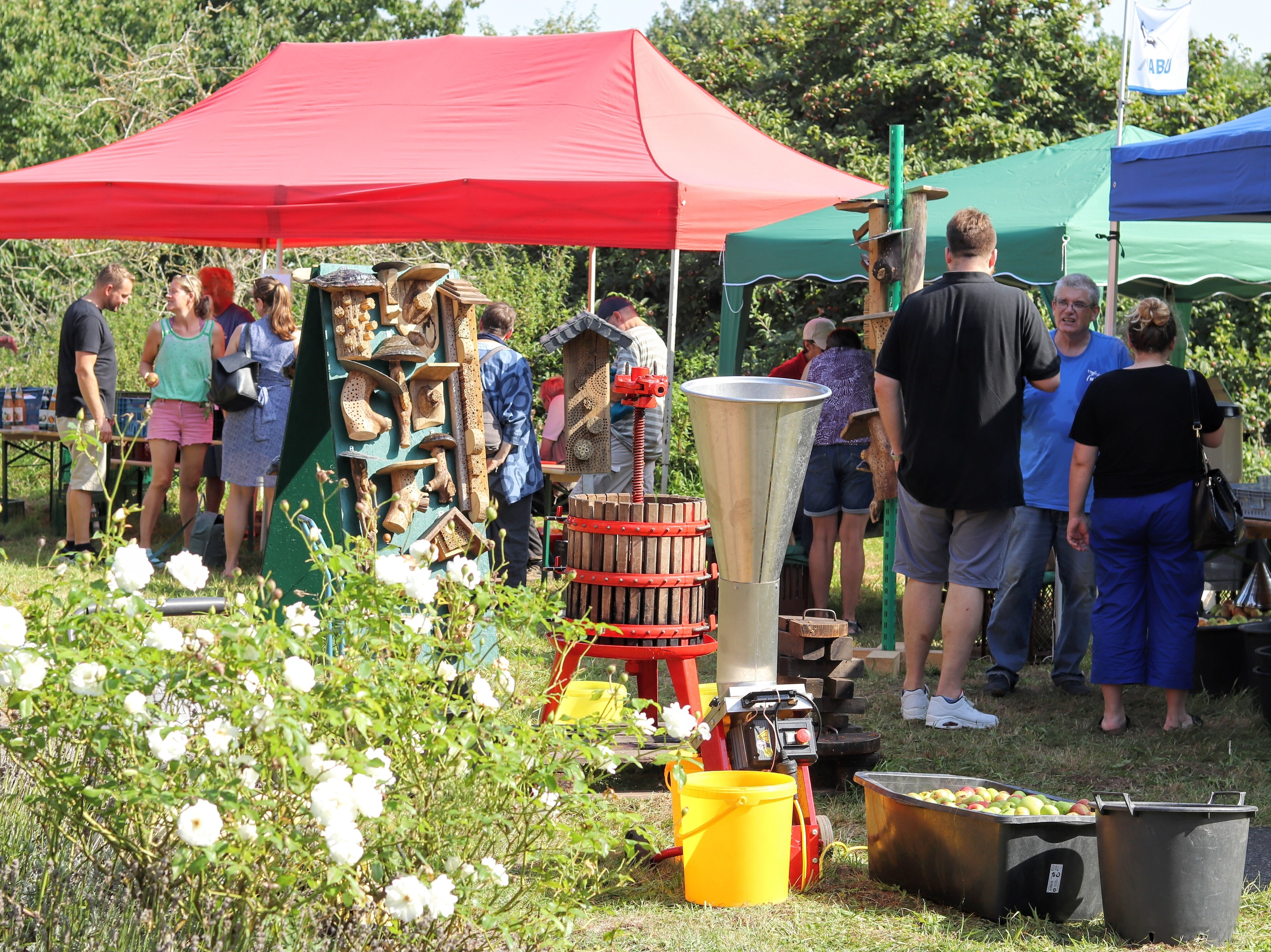 Personen an unterschiedlichen Ständen beim Obstwiesenfest.