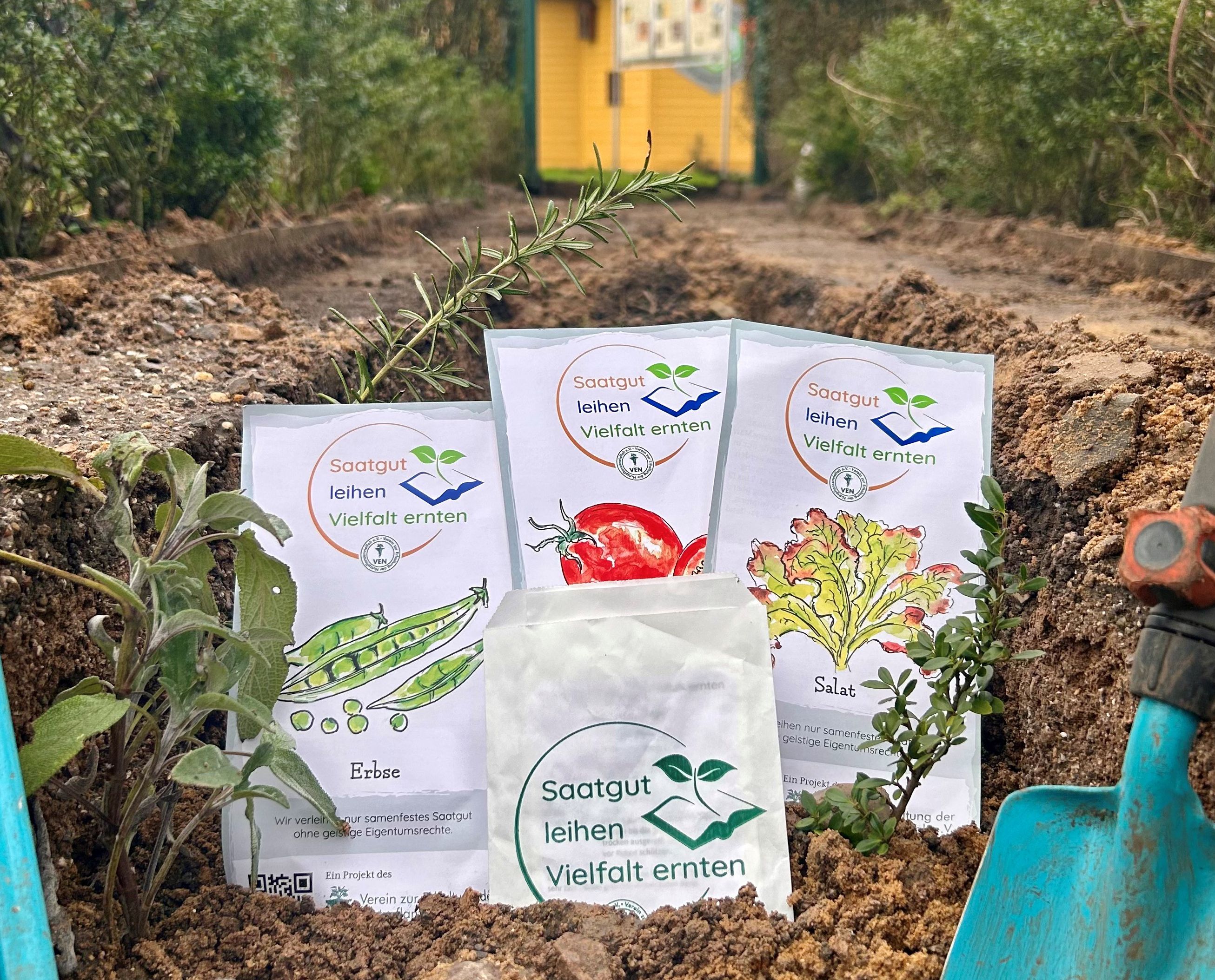 Vier Tüten mit Samen liegen auf einem Boden im Garten.