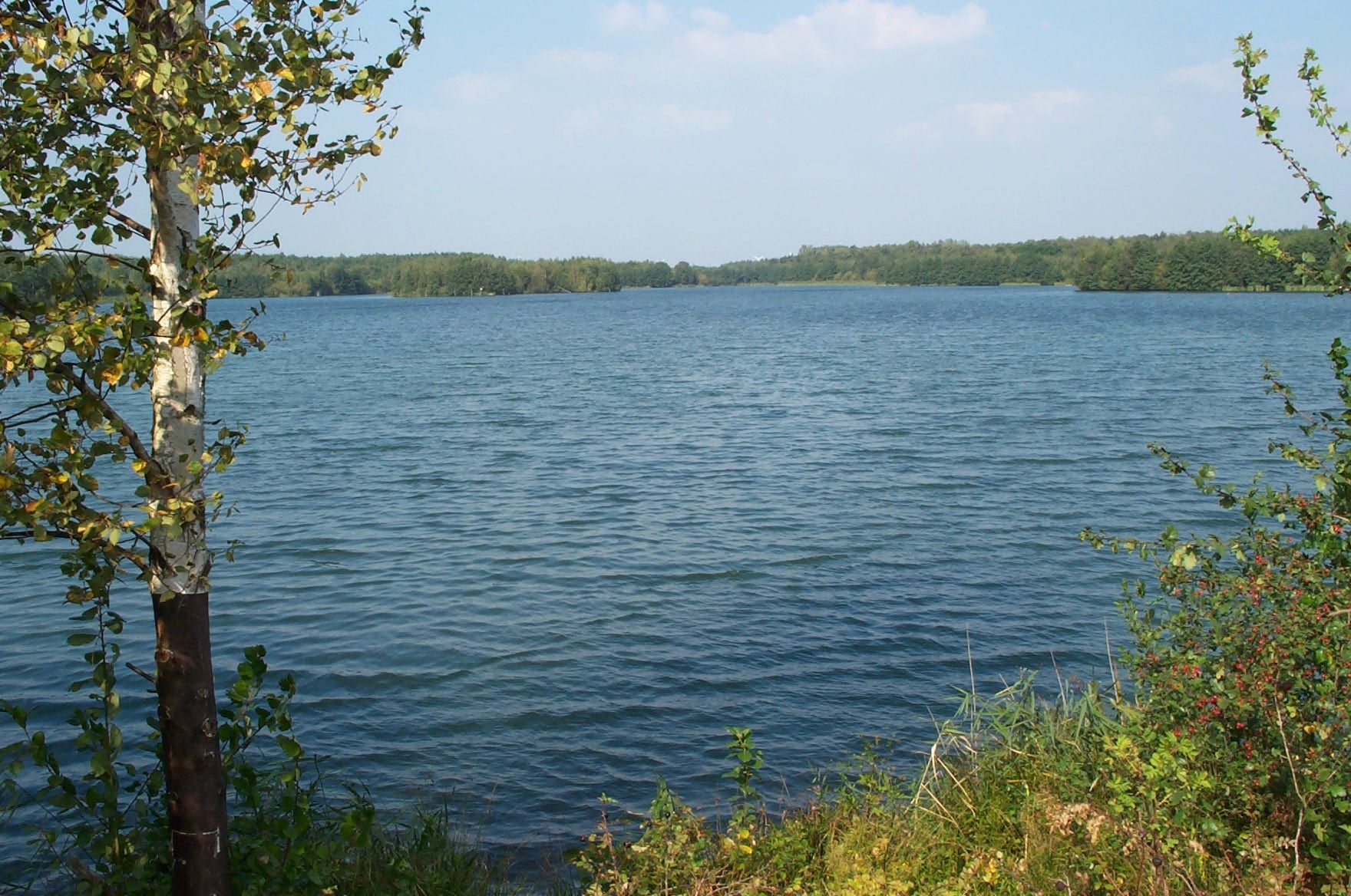 Naturschutzgebiet Heidesee in Bottrop-Kirchhellen. 
