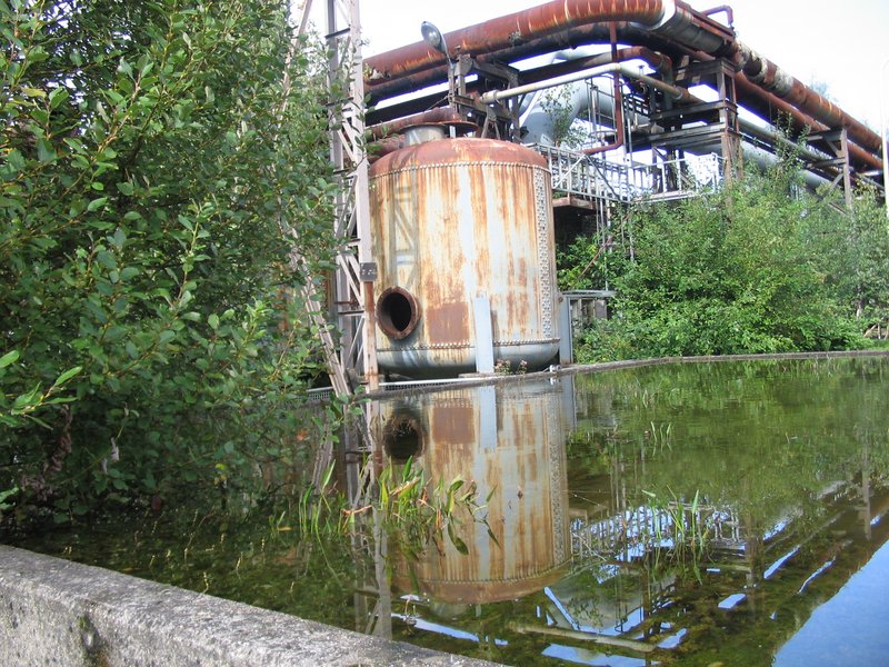 Industrienatur auf der Kokerei Hansa in Dortmund. Foto: RVR/Ehses