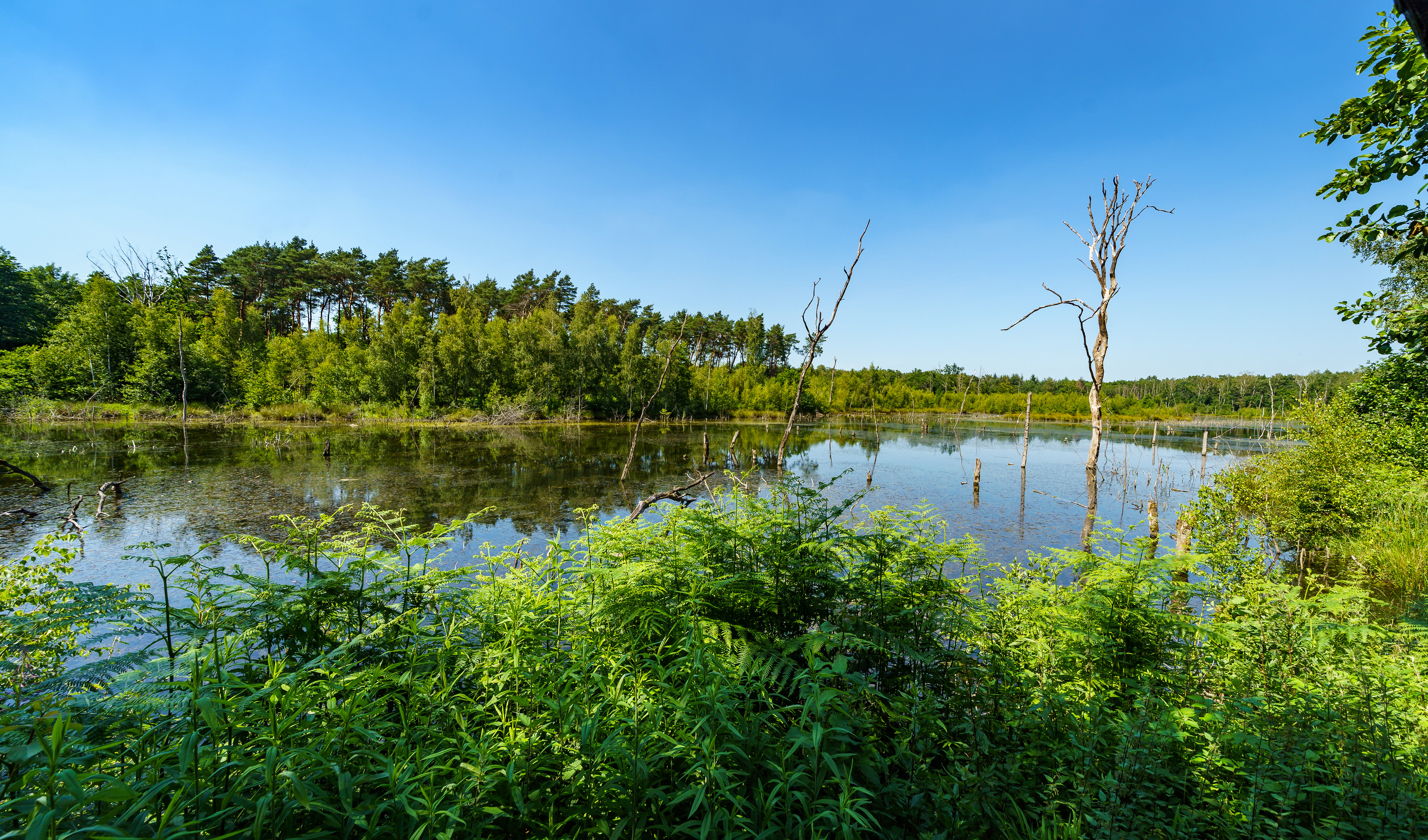 Heidesee beim RVR-Besucherzentrum Heidhof in Bottrop-Kirchhellen.