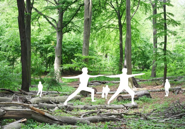 Wald-Yoga im Revierpark Vonderort - Entwurf.