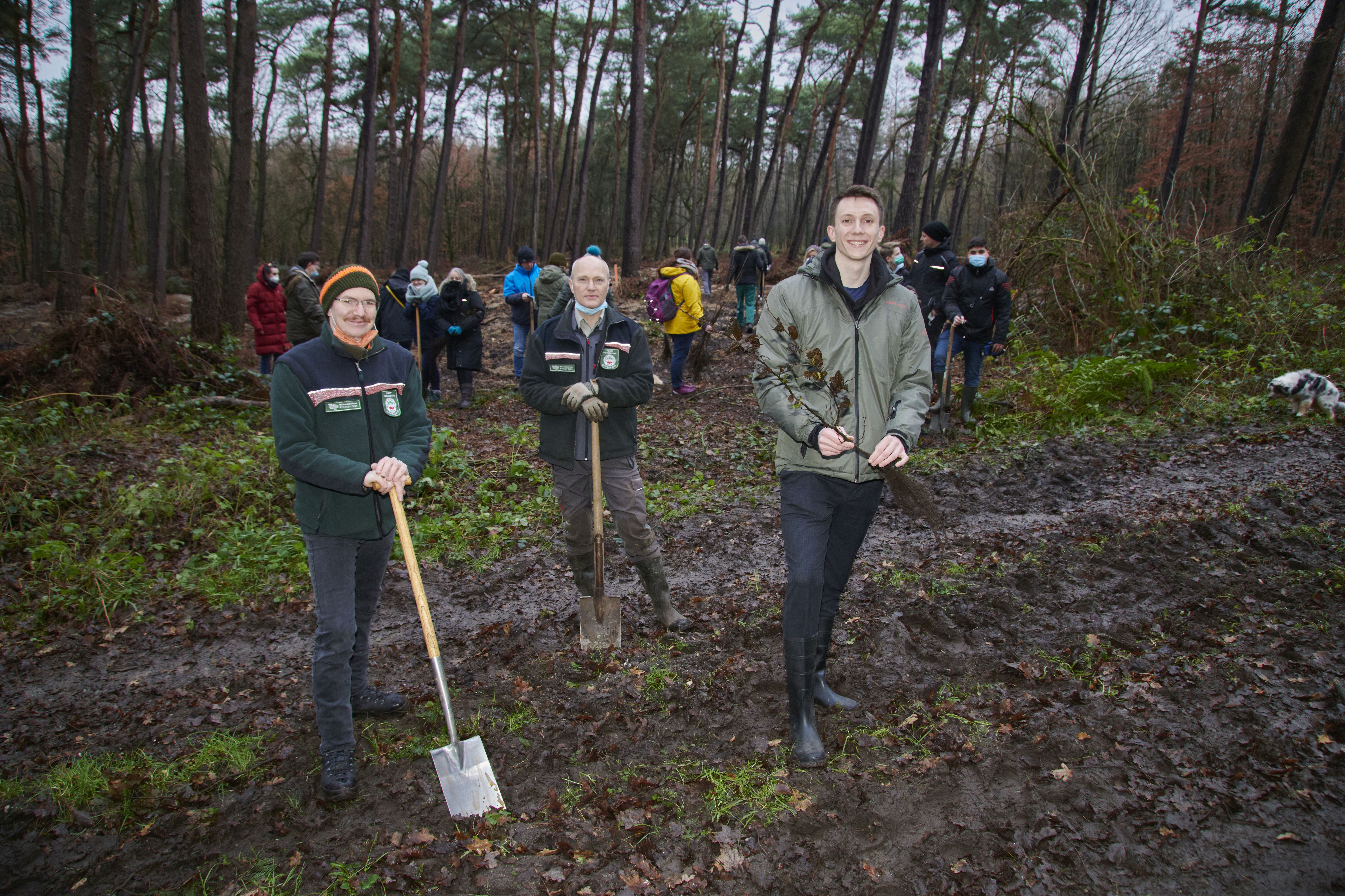 Lukas Sieberth, RVR Ruhr Grün, Werner Meemken, RVR Ruhr Grün, und Jason Sell, Pottwatch, (v.l) bei der Pflanzaktion in der Kirchheller Heide am 4. Dezember 2021.