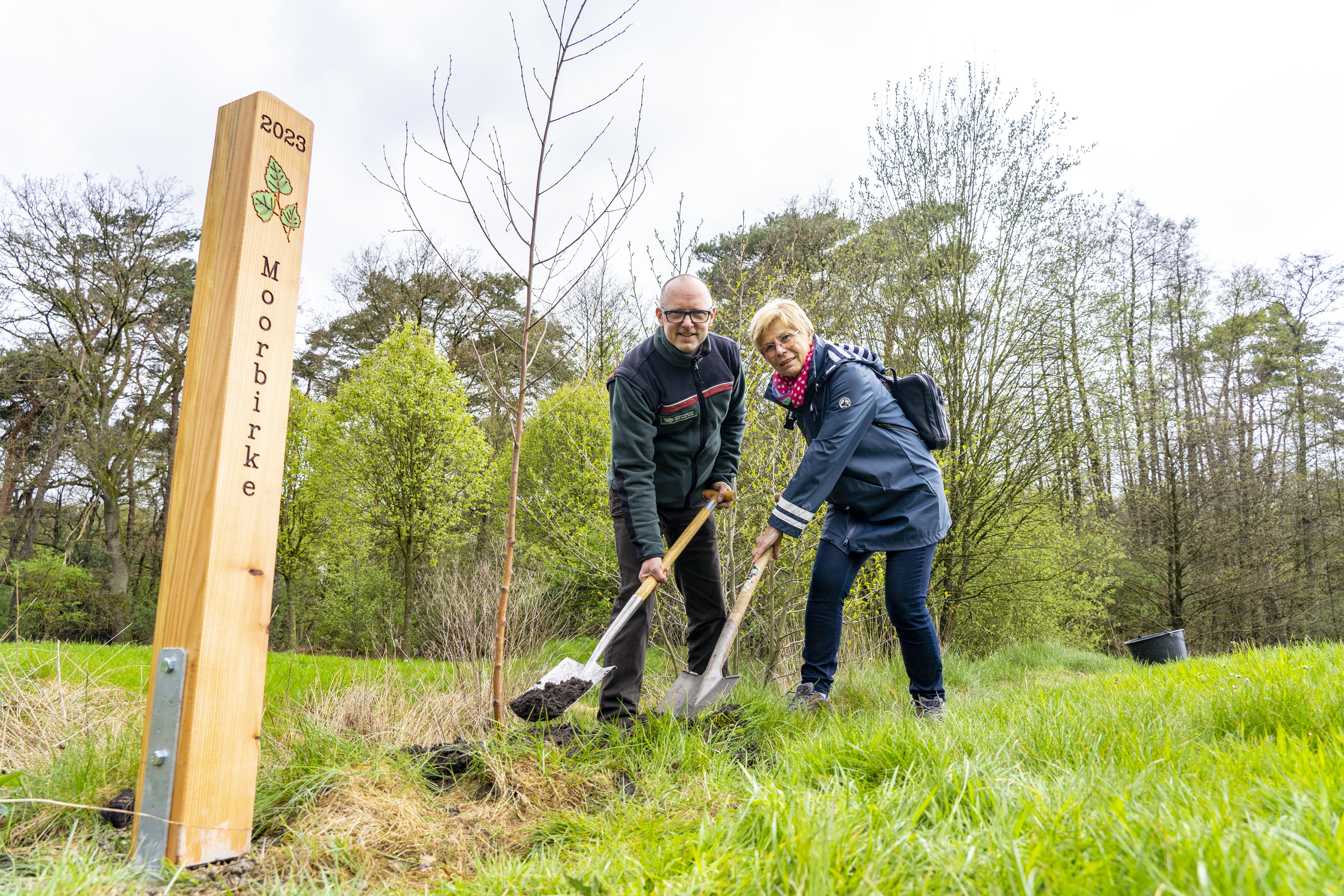 Tag des Baumes 2023