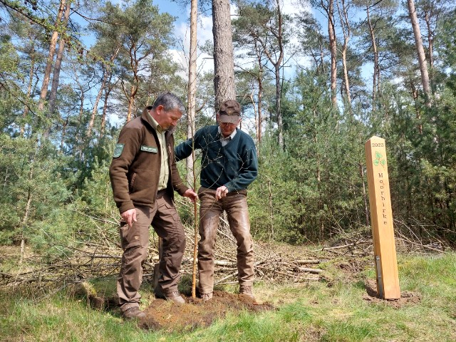 Tag des Baumes 2023