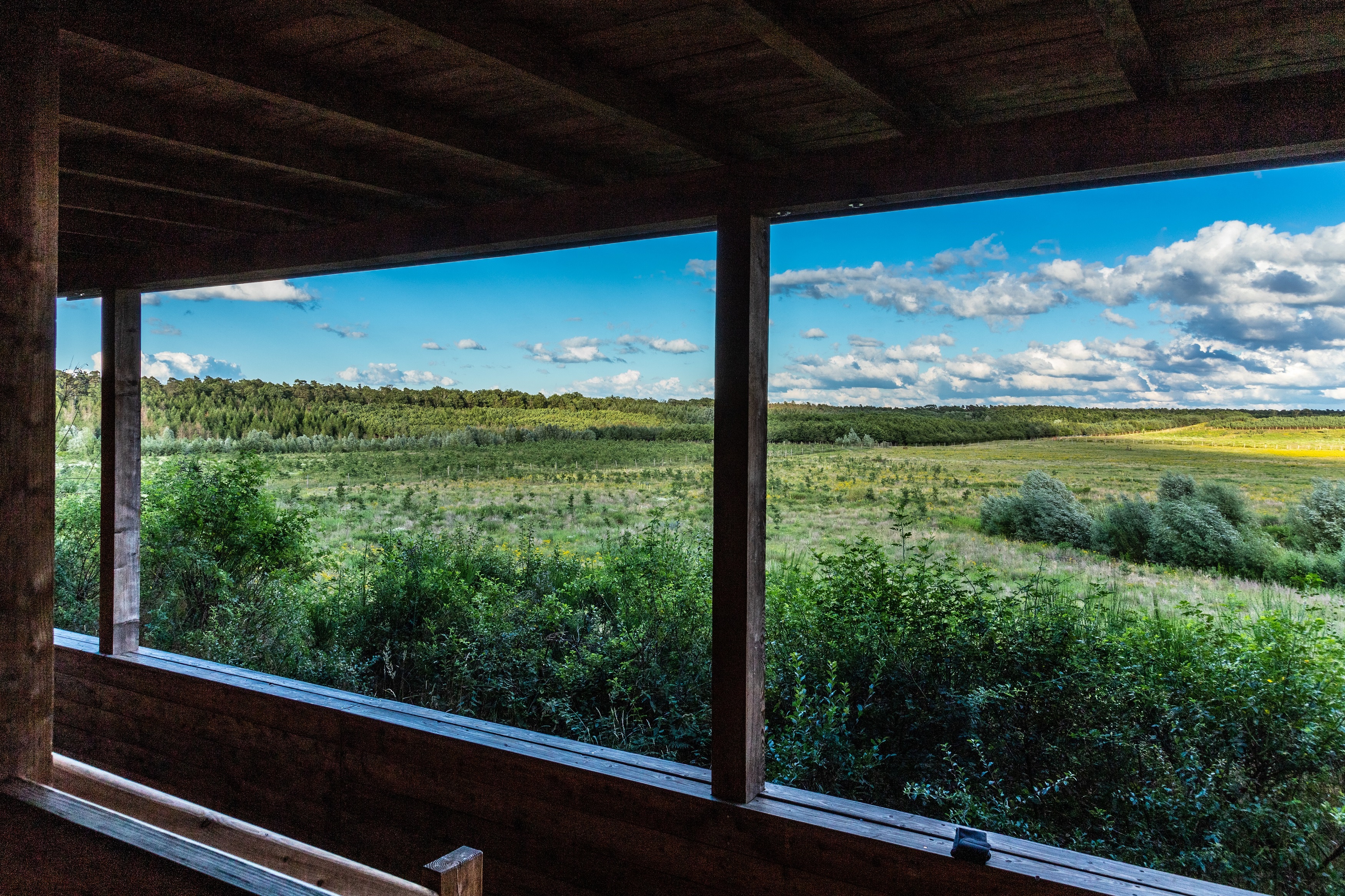 Panoramablick aus der Kanzel auf ein Feld.