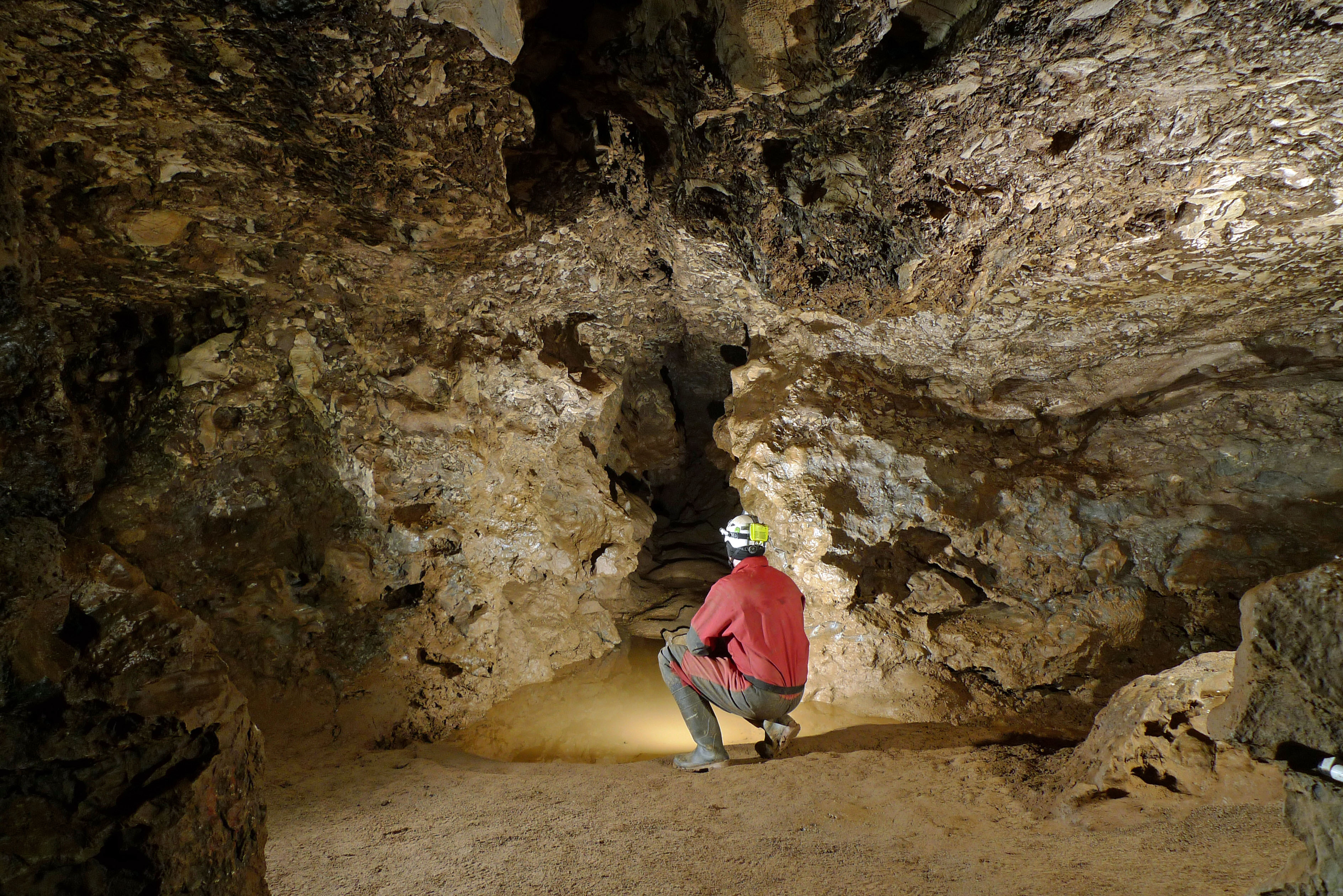 Naturmonument Kluterthöhle in Ennepetal: Ein Mensch hockt in der Höhle und bestaunt die versteinerten Spuren. 