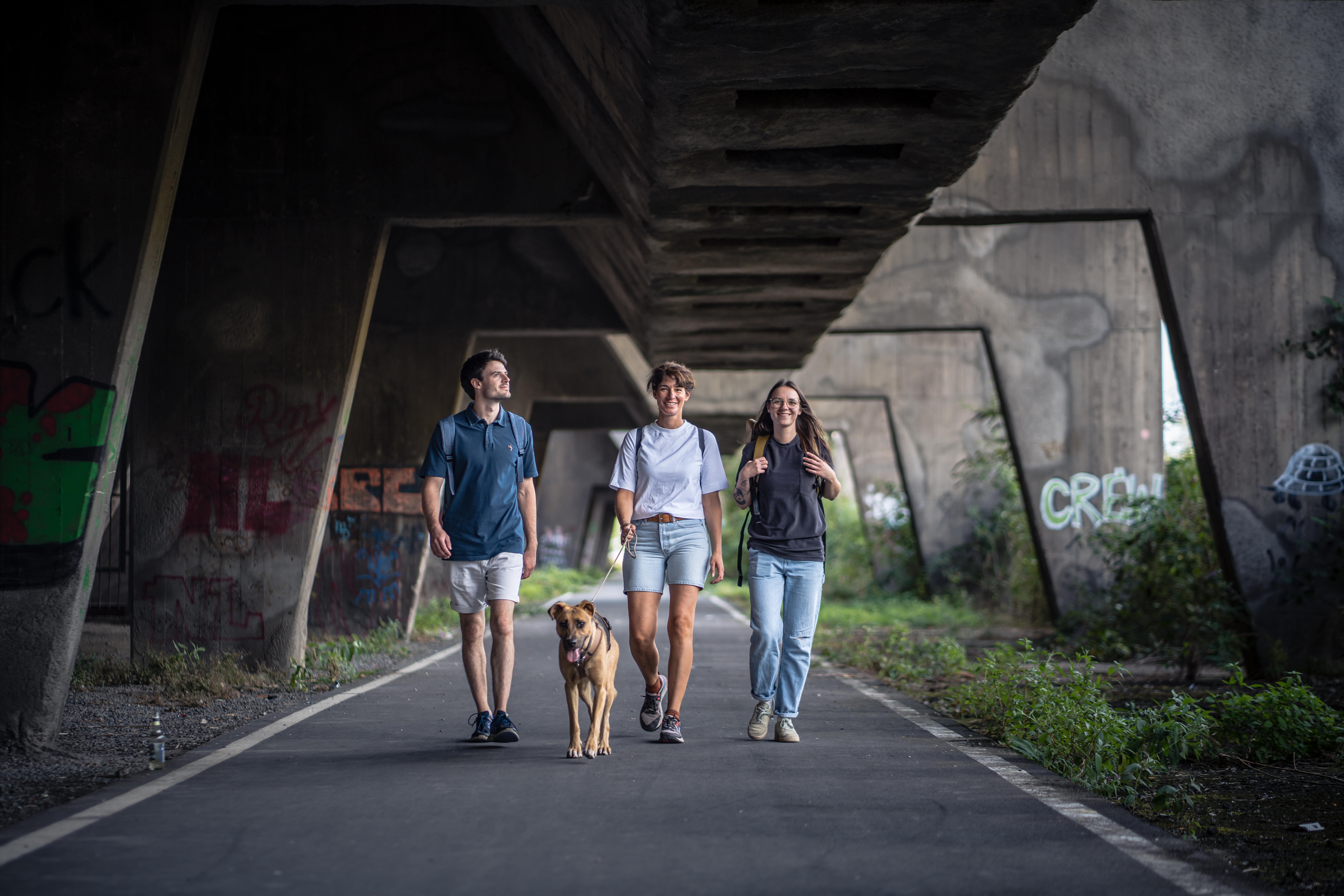 Drei Personen und ein Hund laufen der Kamera entgegen.