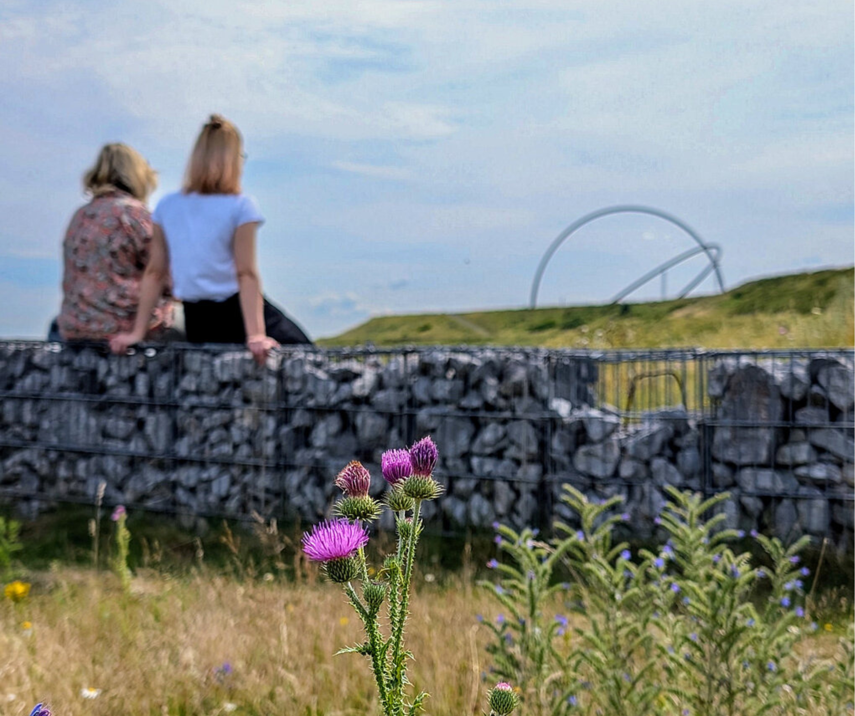 Zwei Personen sitzen auf einer Mauer und Blicken auf den Gipfel der Halde Hoheward.