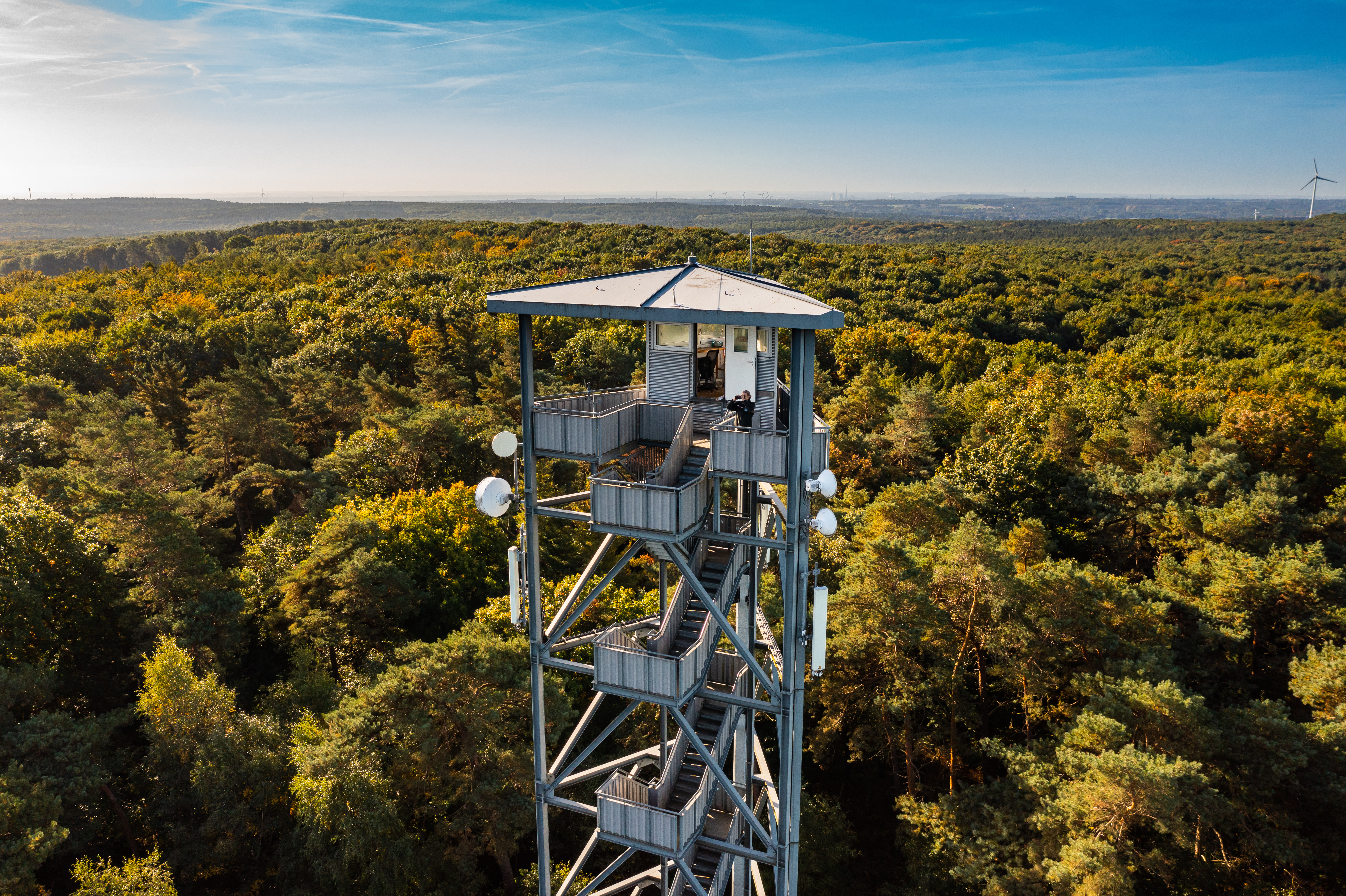 Revierleiter steht mit einem Fernglas auf einem Feuerwachturm umgeben von Wald.