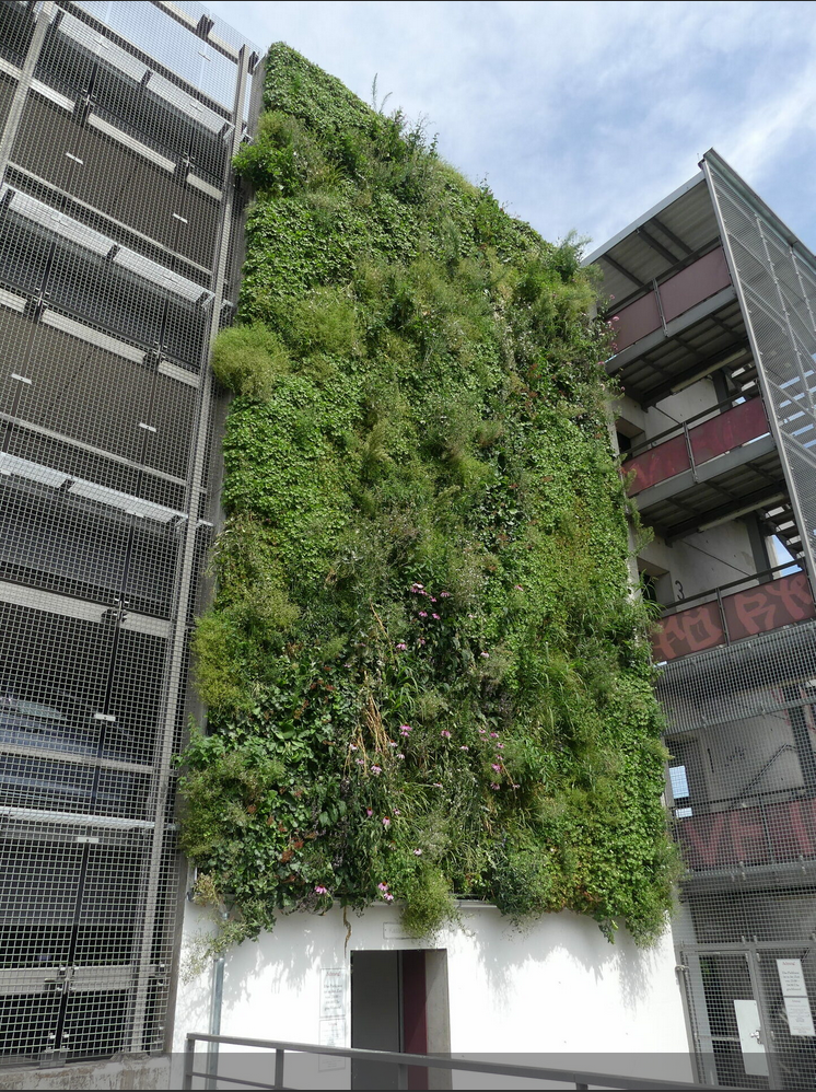 Parkhaus-Fassadenbegrünung