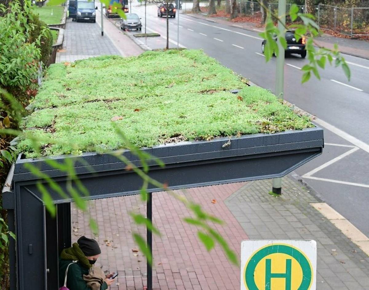 Begrünte Bushaltestellen