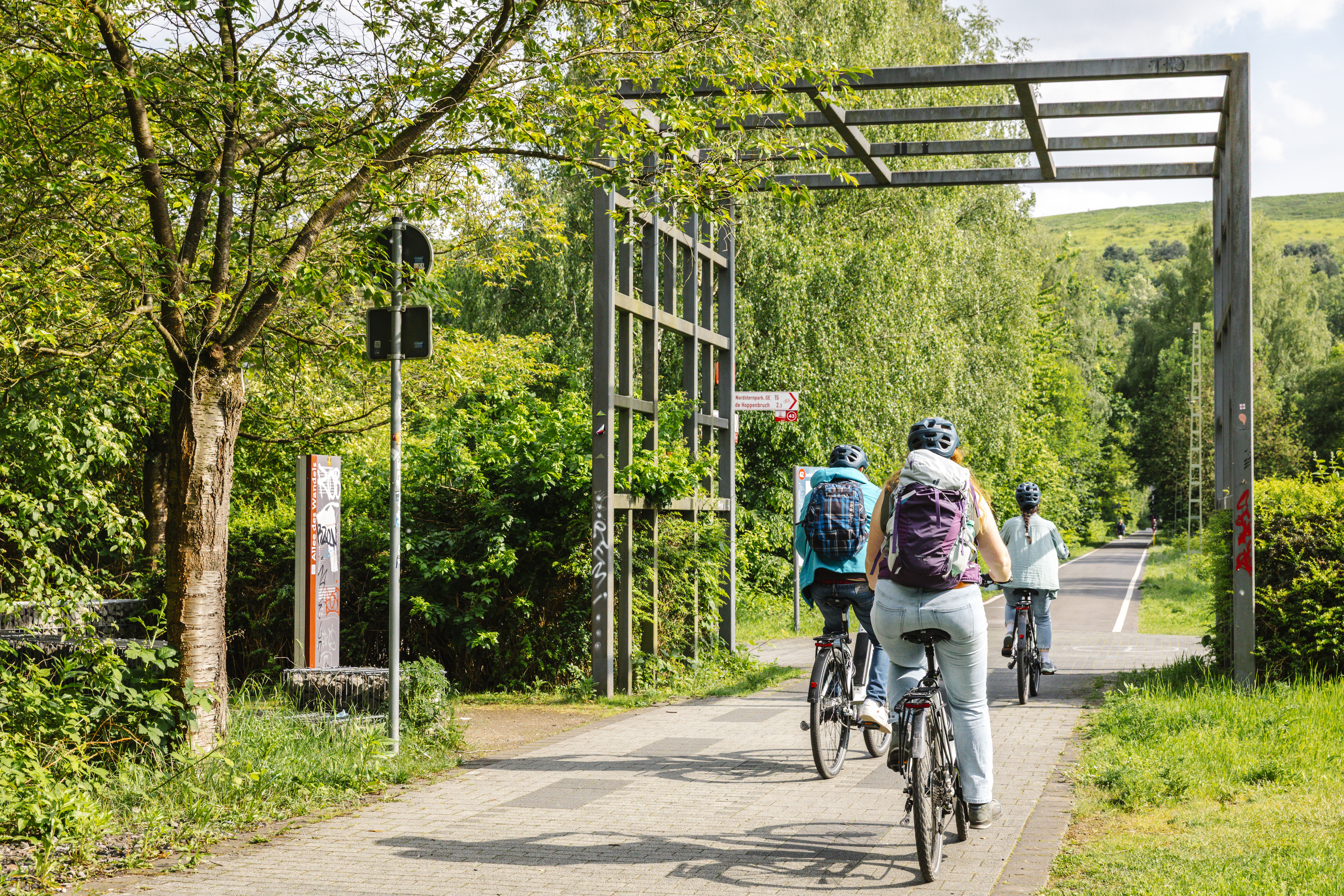 Eine kleine Gruppe Fahrradfahrer fahren über die Allee des Wandels Richtung Halde Hoheward.