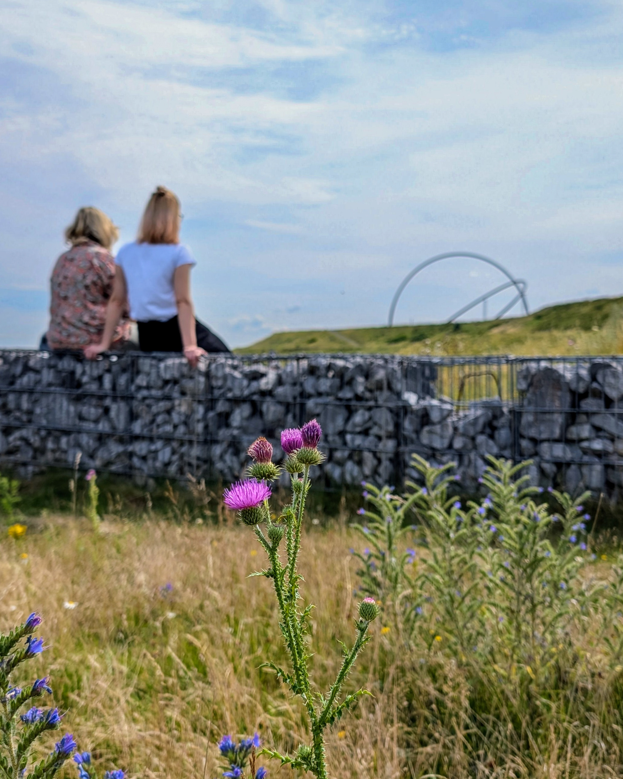 Pause auf der Halde Hoheward Entspannung in der Natur auf Hoheward
