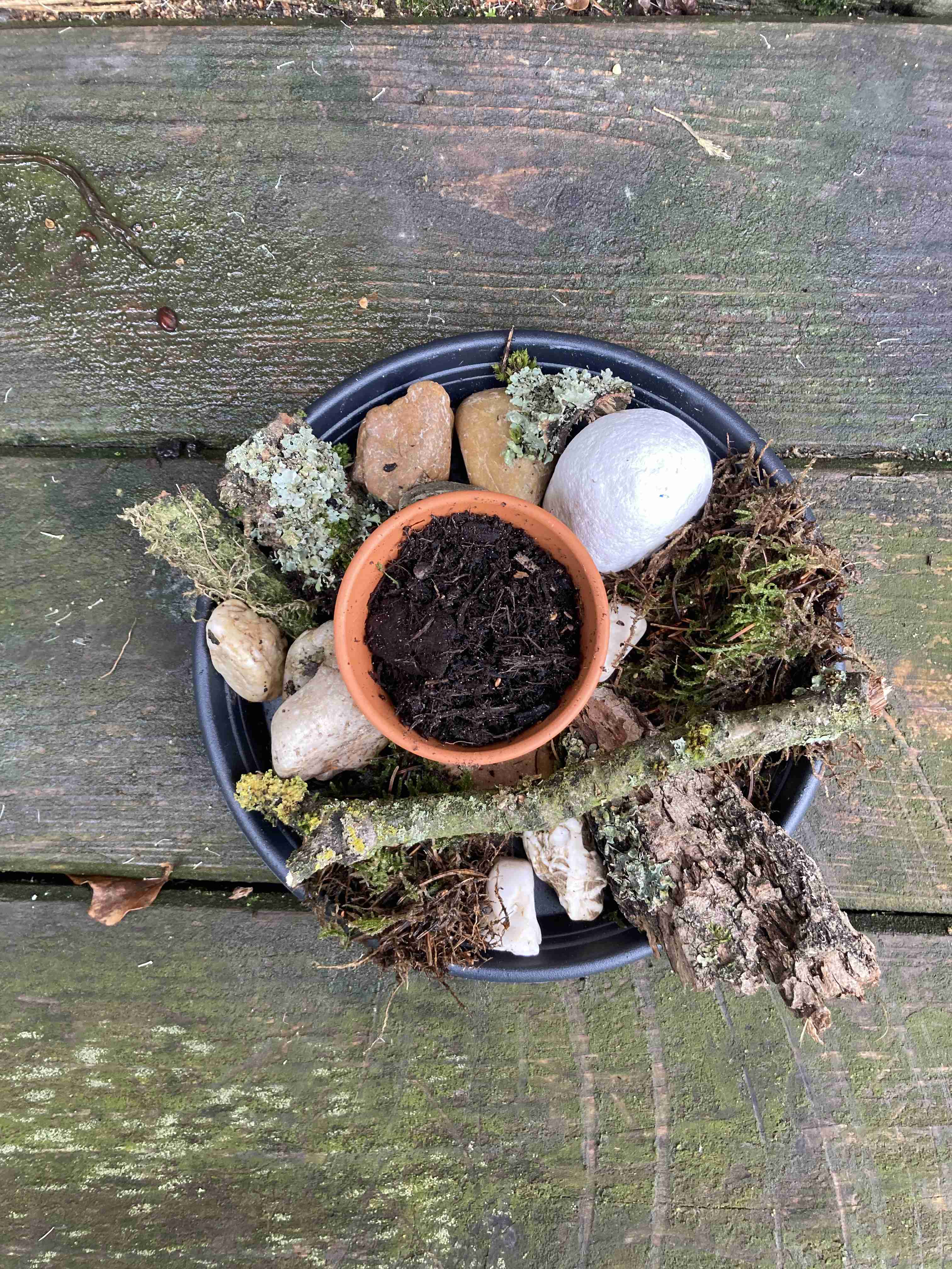 Eine selbst gebaute Insektentränke mit Naturmaterialien